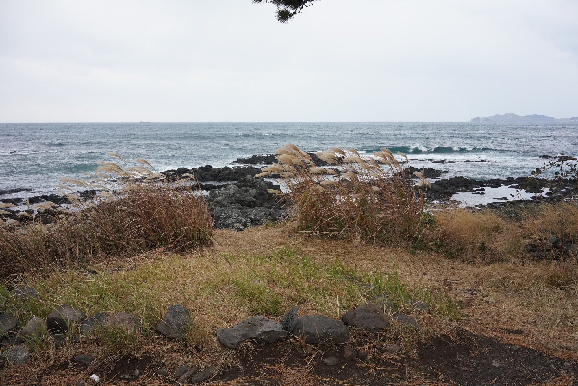 Jeju 15 (27)