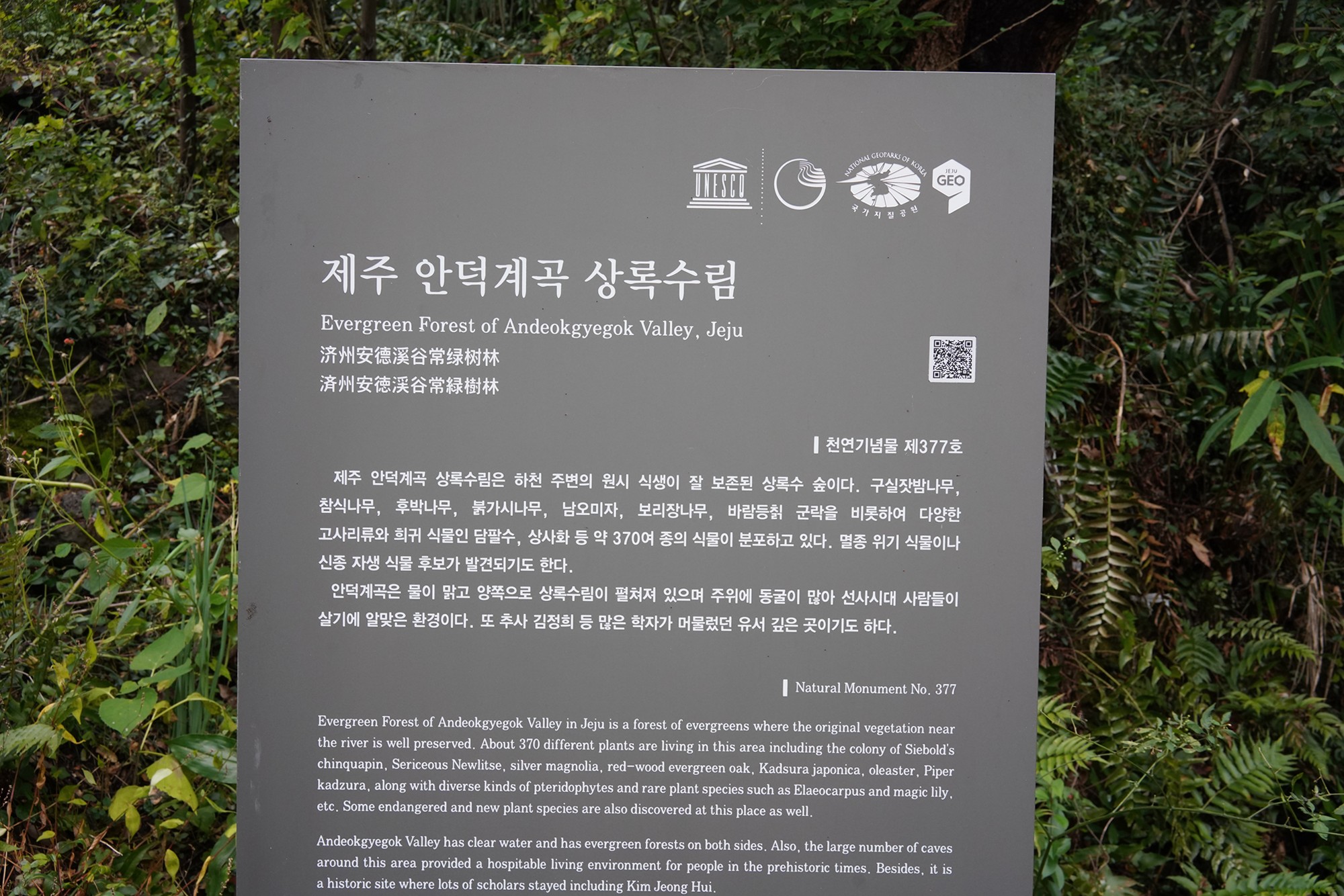 Jeju 15 (3)