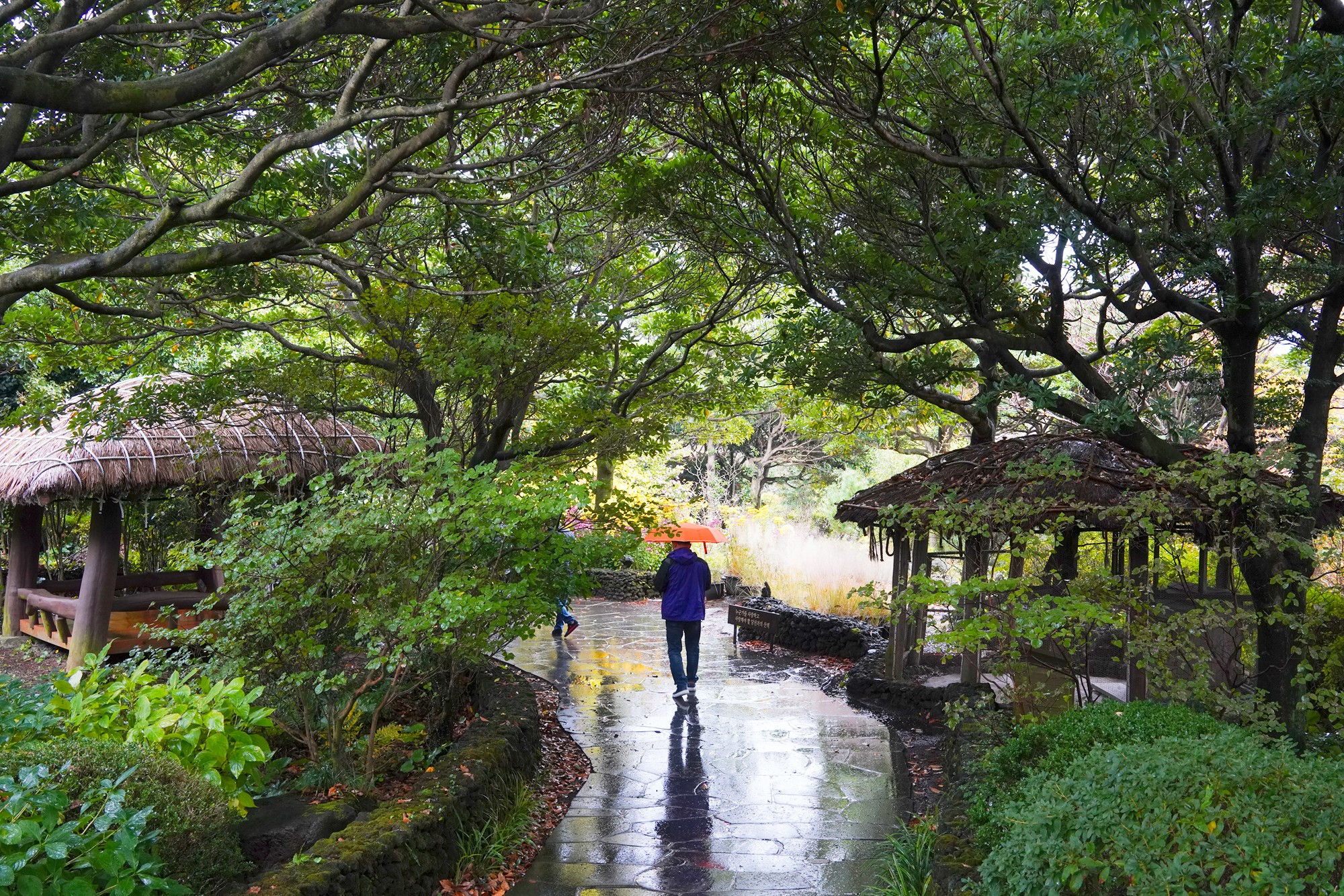 Jeju 15 (34)