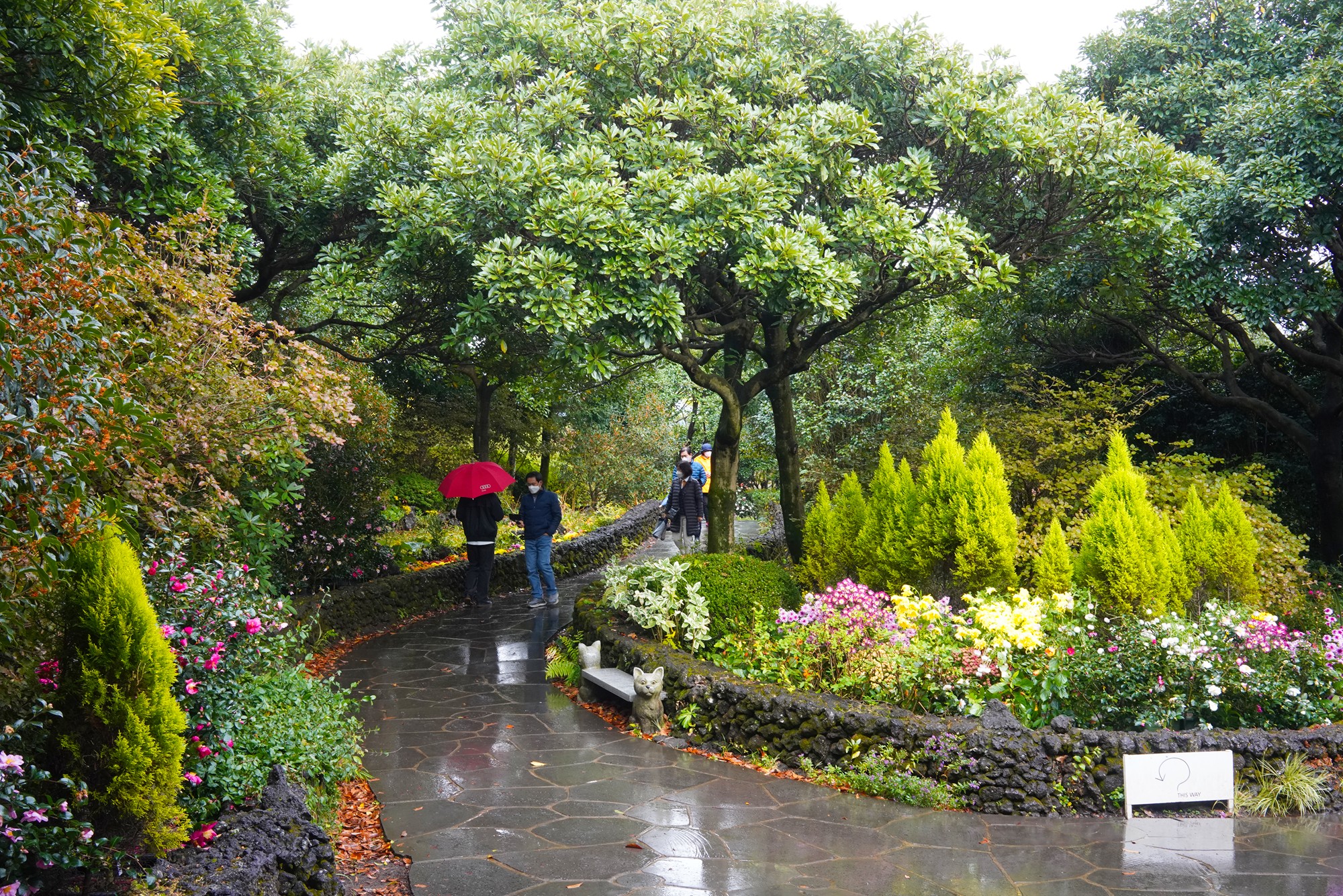 Jeju 15 (37)