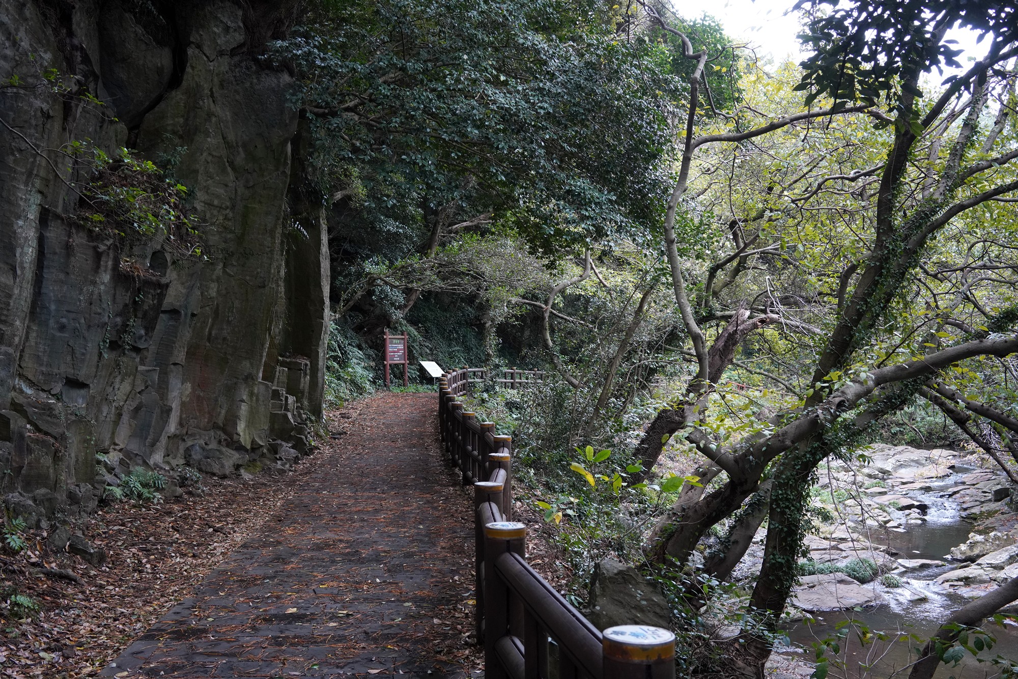 Jeju 15 (4)