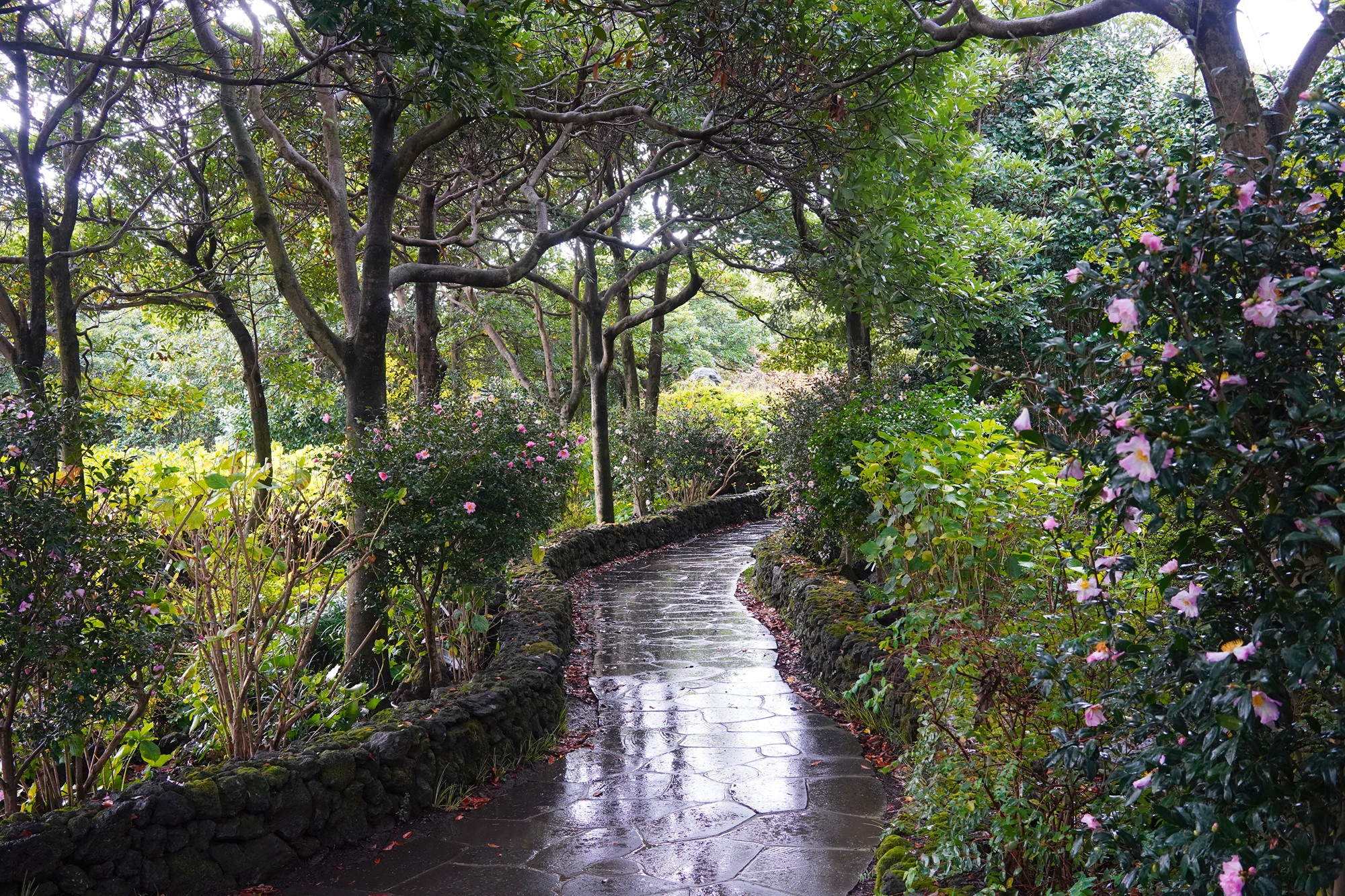 Jeju 15 (40)