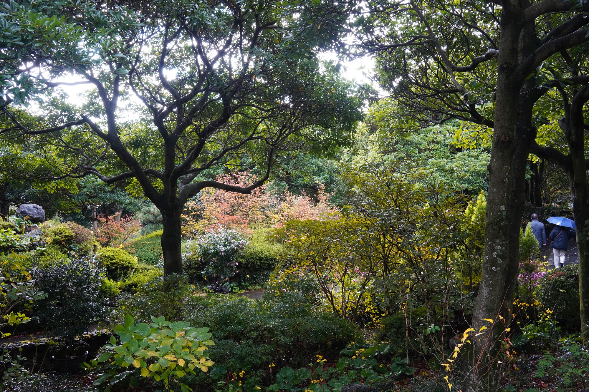 Jeju 15 (43)