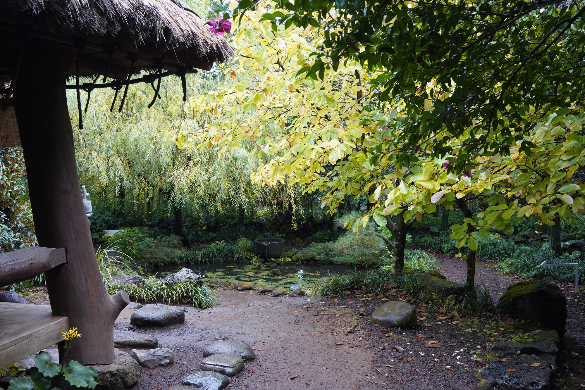 Jeju 15 (45)