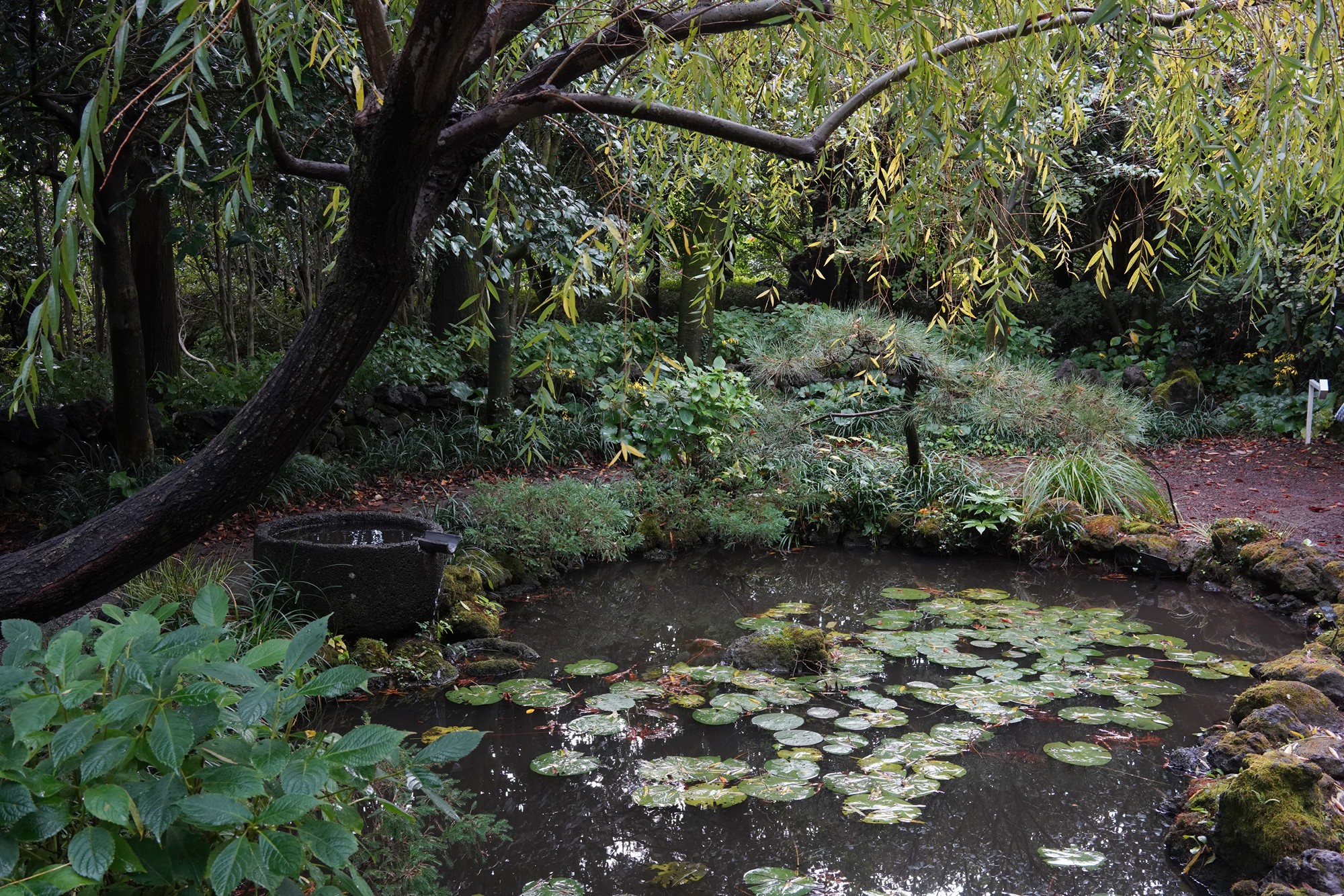 Jeju 15 (46)