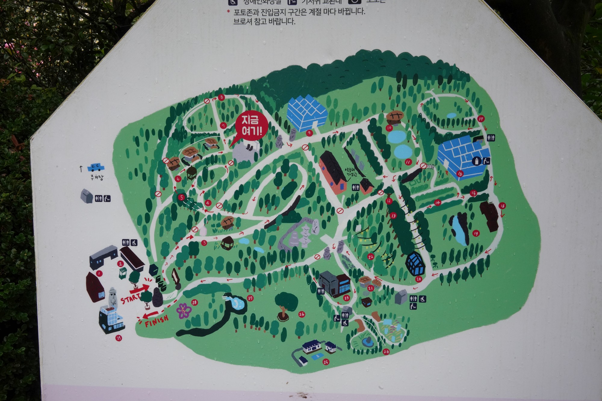 Jeju 15 (49)