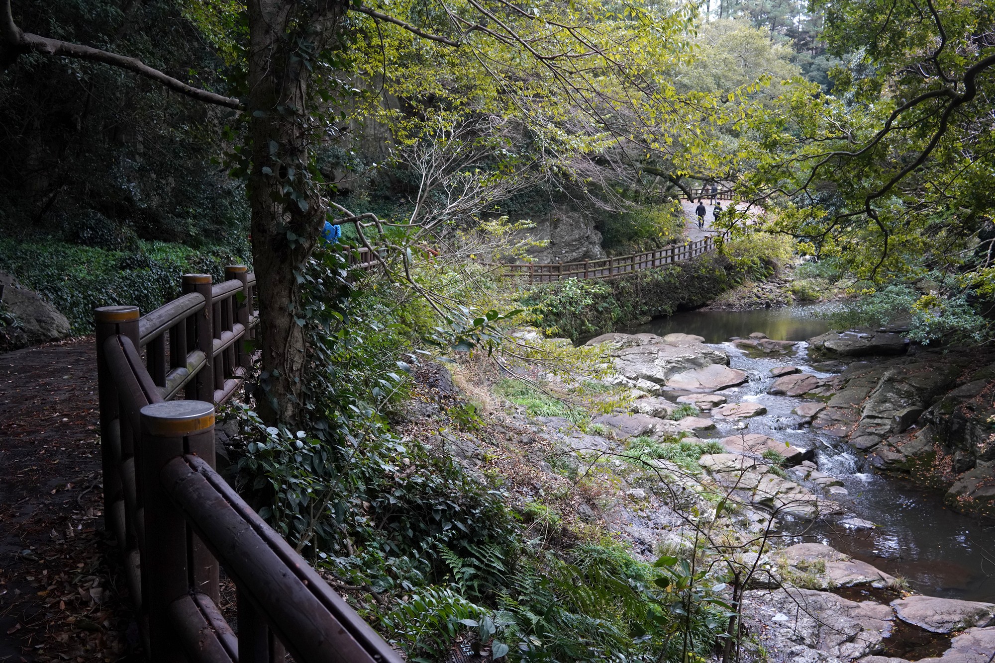 Jeju 15 (5)