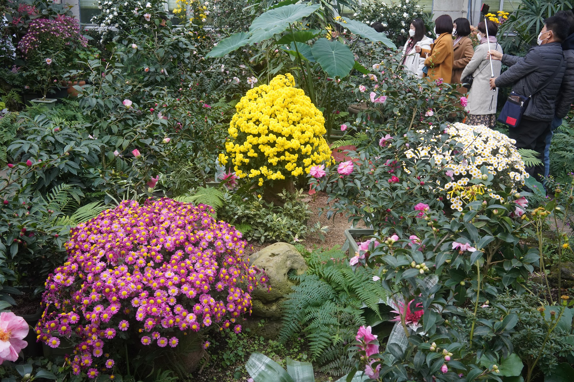 Jeju 15 (51)