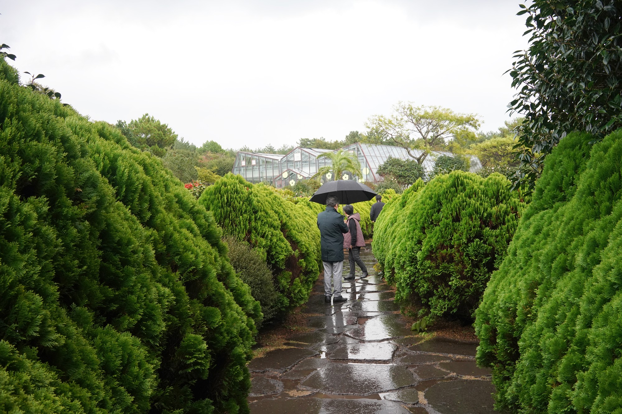 Jeju 15 (55)