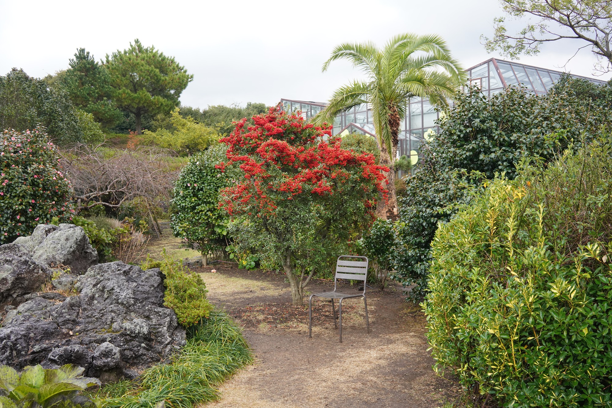 Jeju 15 (56)