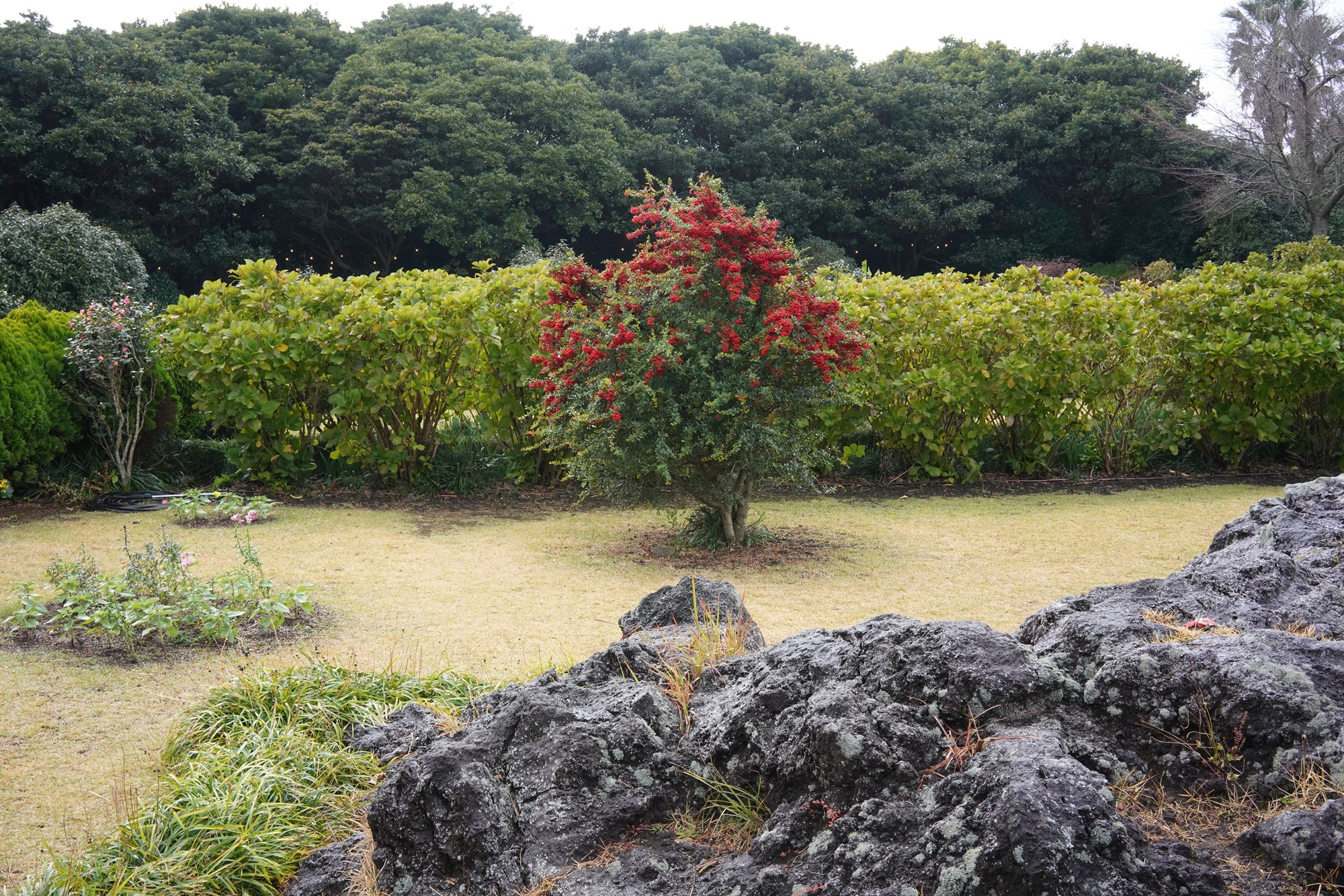 Jeju 15 (58)