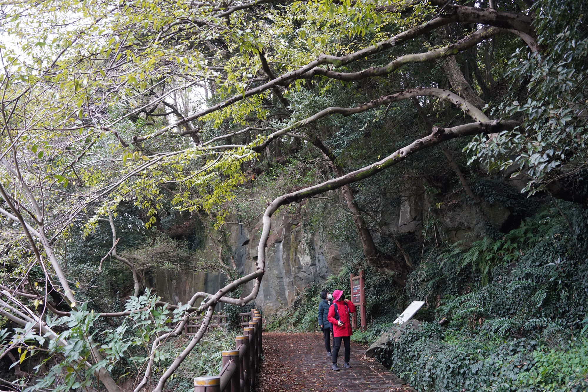 Jeju 15 (6)