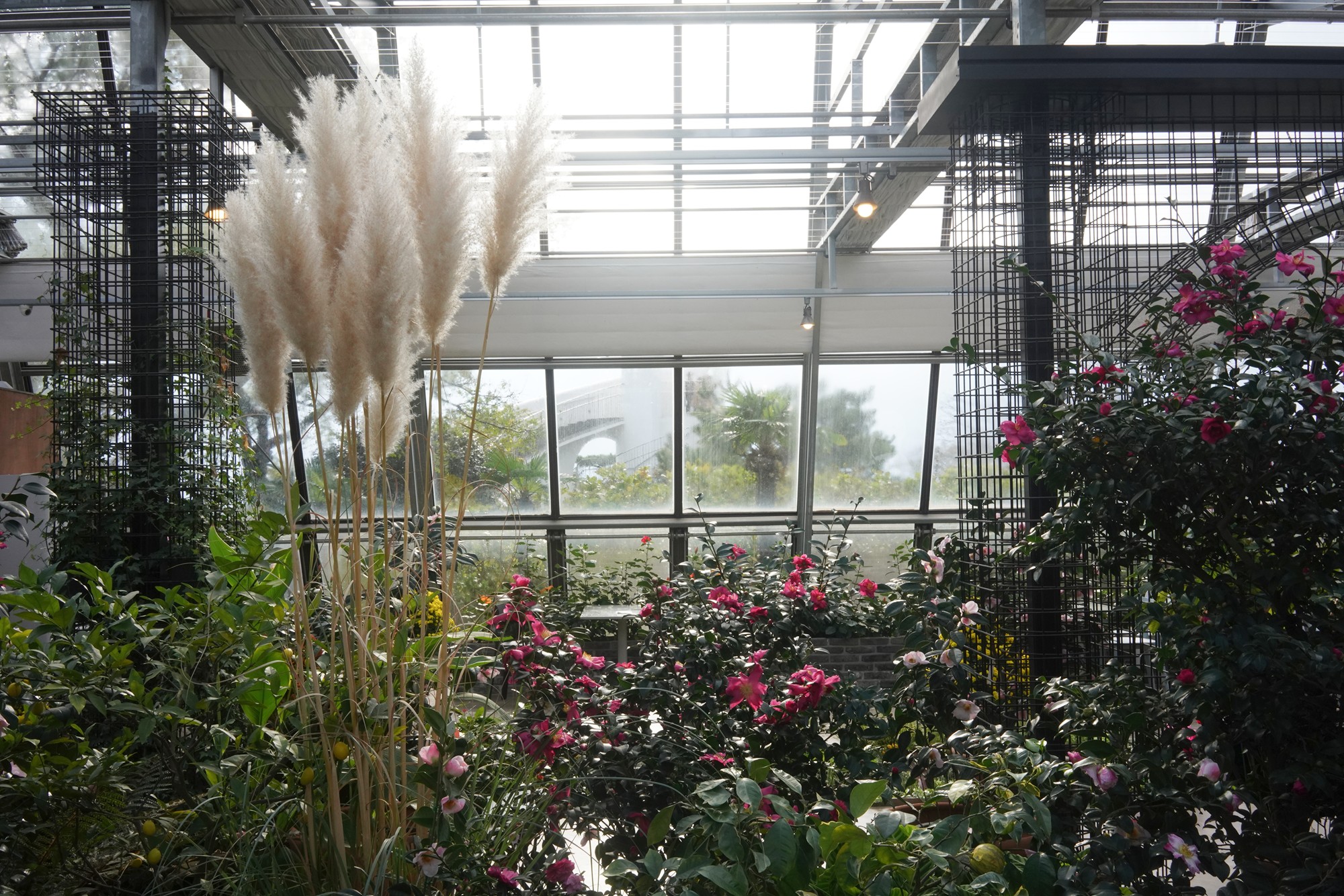 Jeju 15 (63)
