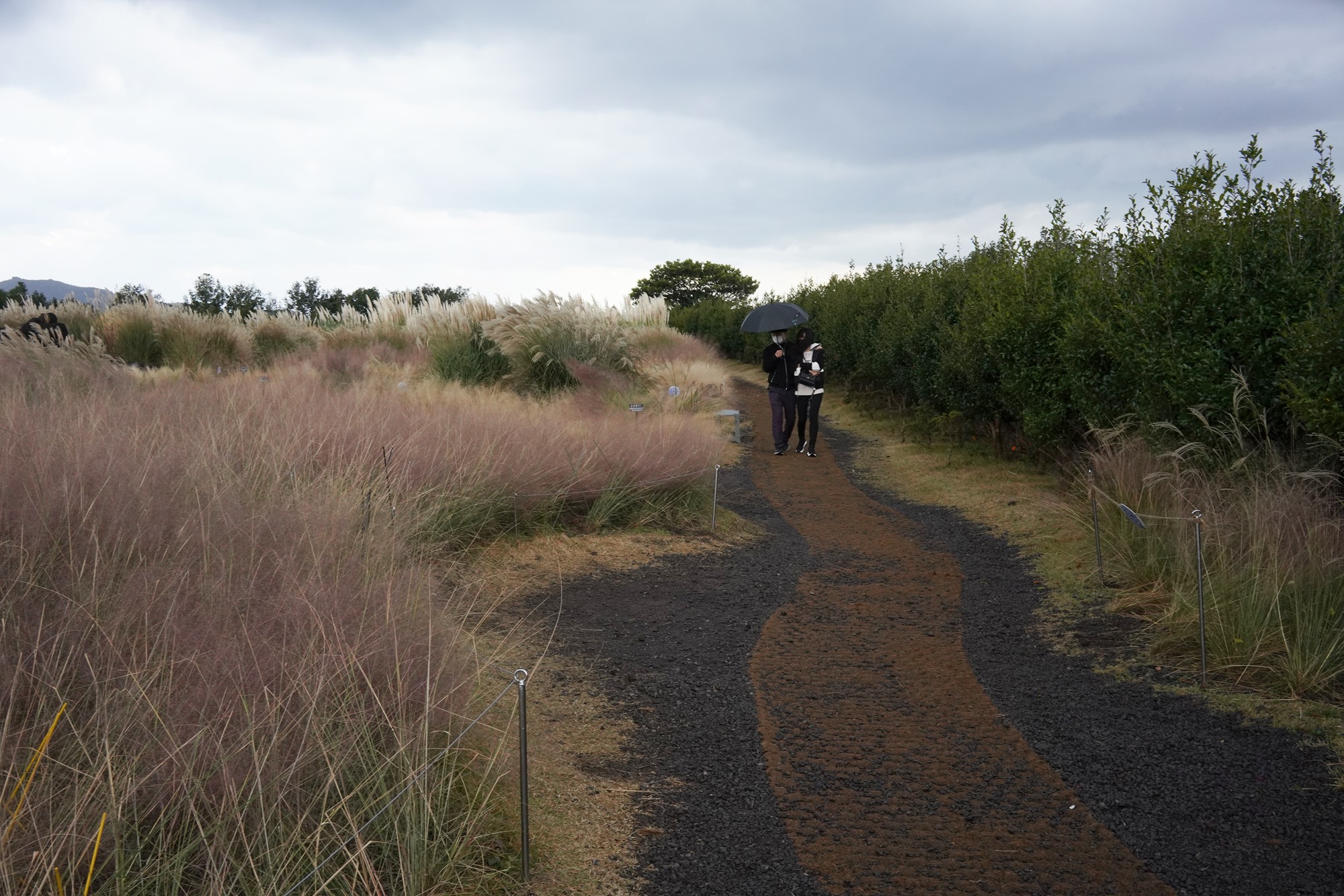 Jeju 15 (67)