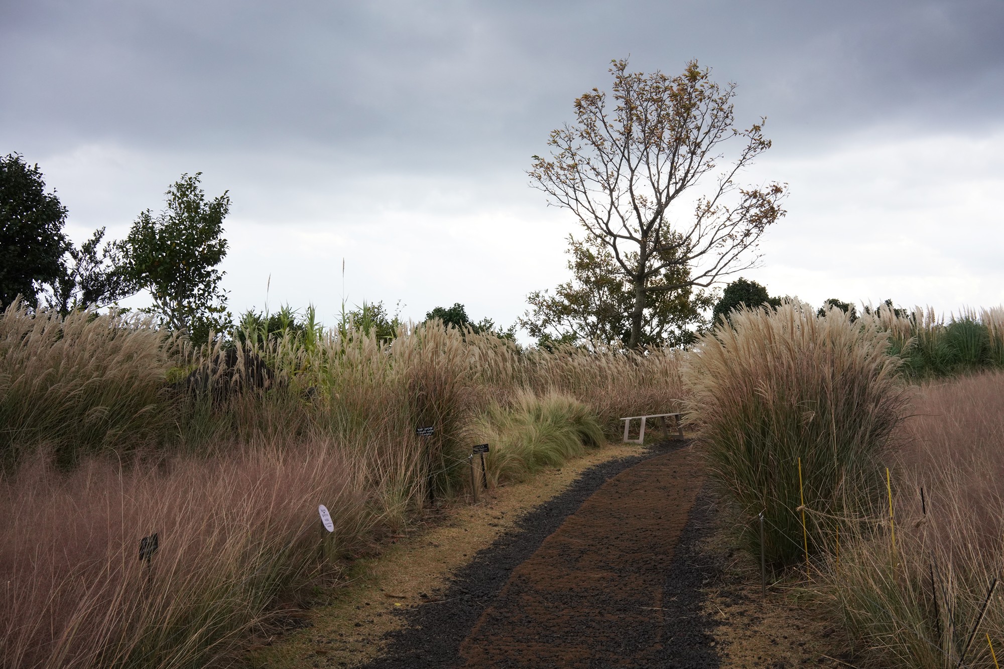 Jeju 15 (68)