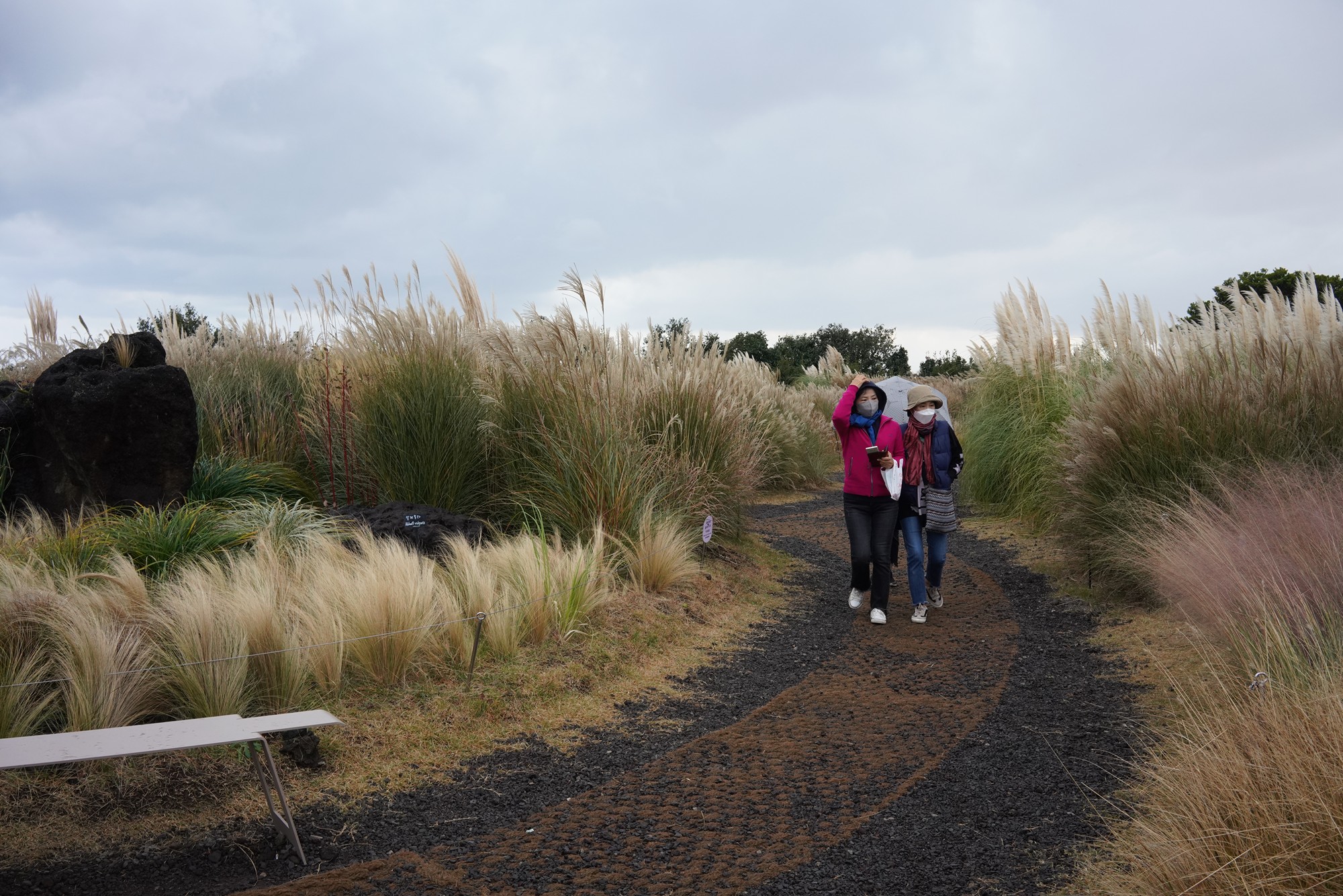 Jeju 15 (73)
