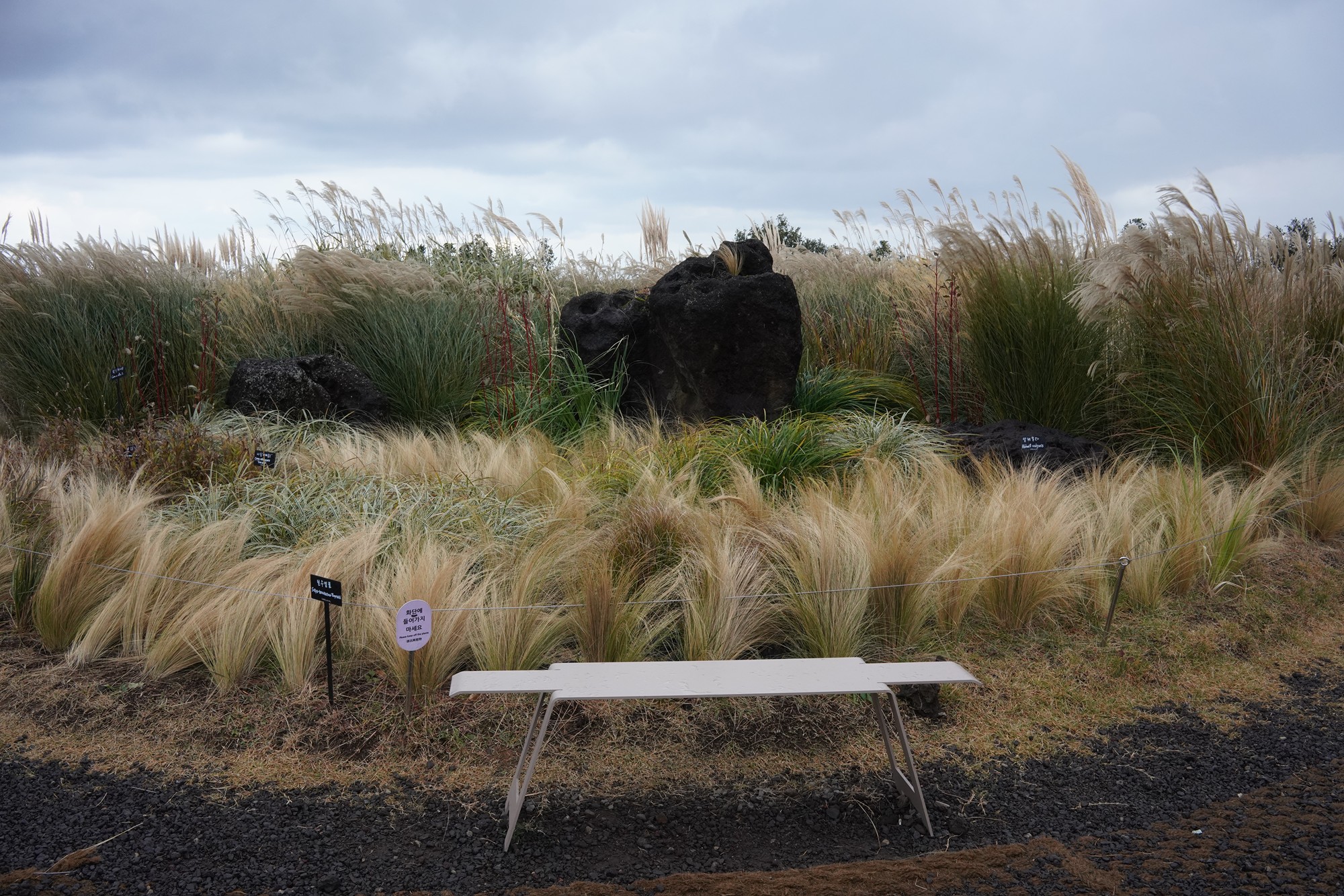 Jeju 15 (74)