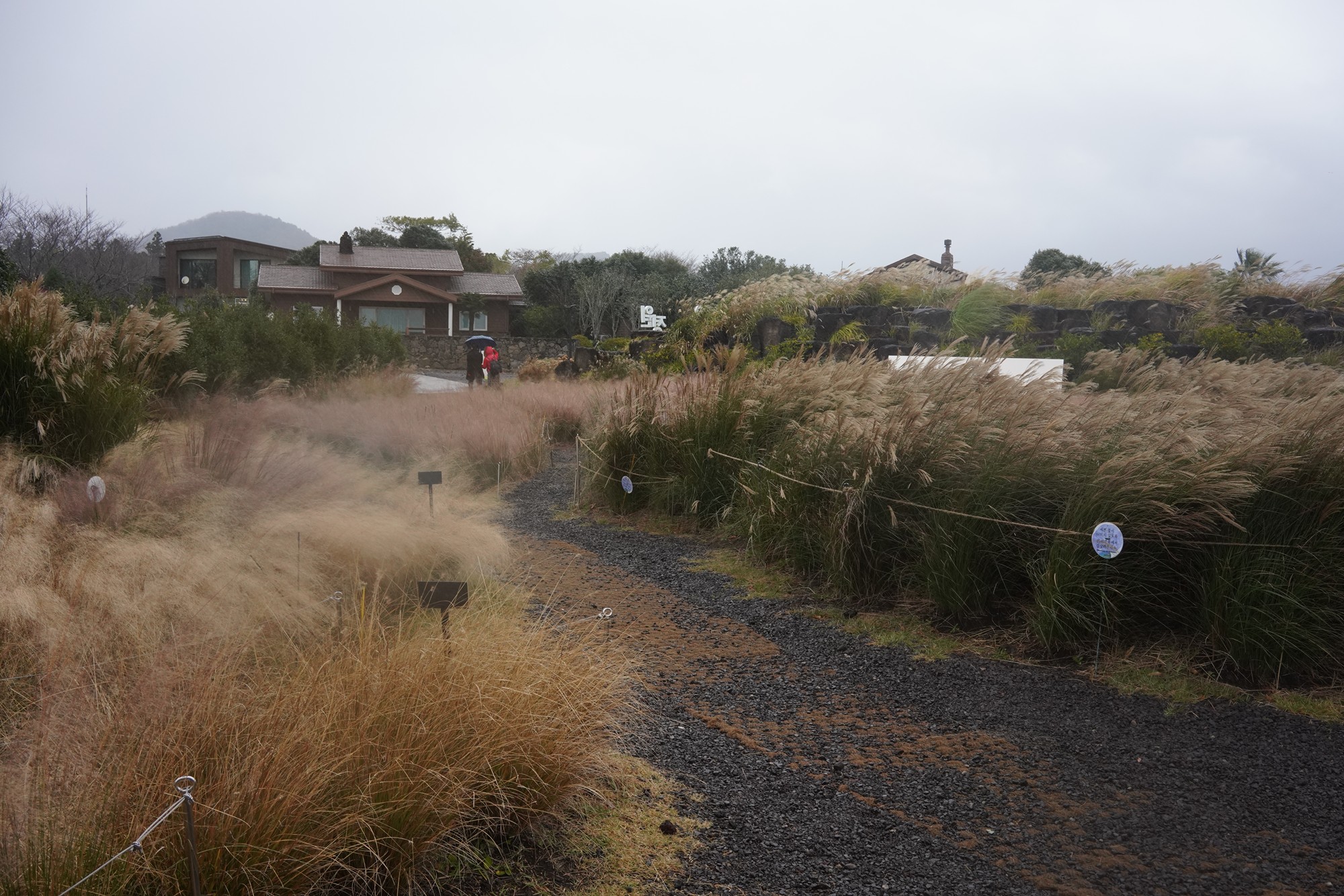 Jeju 15 (76)