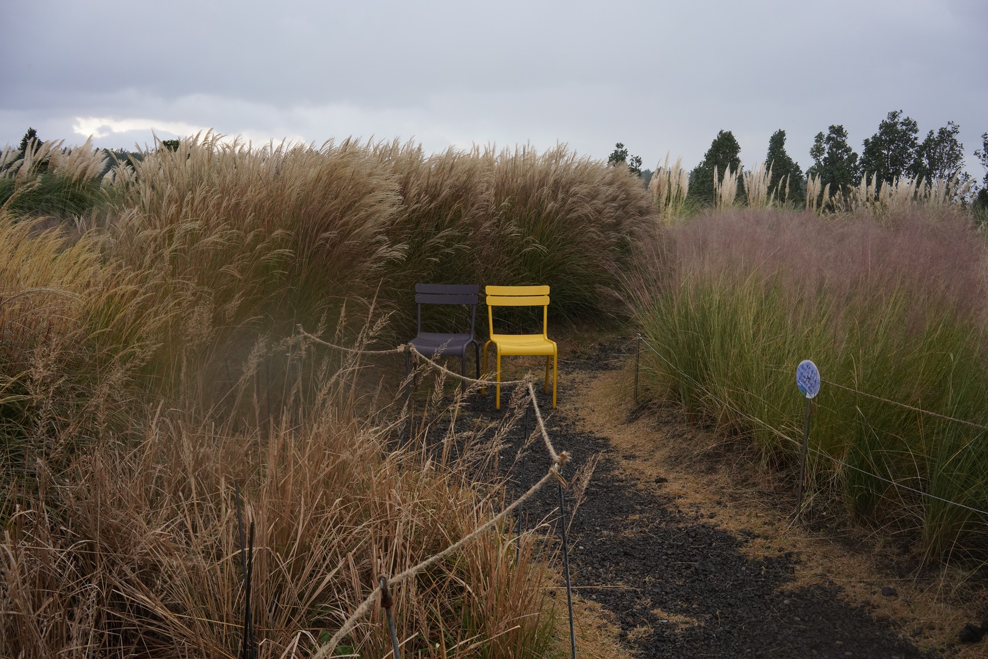 Jeju 15 (79)