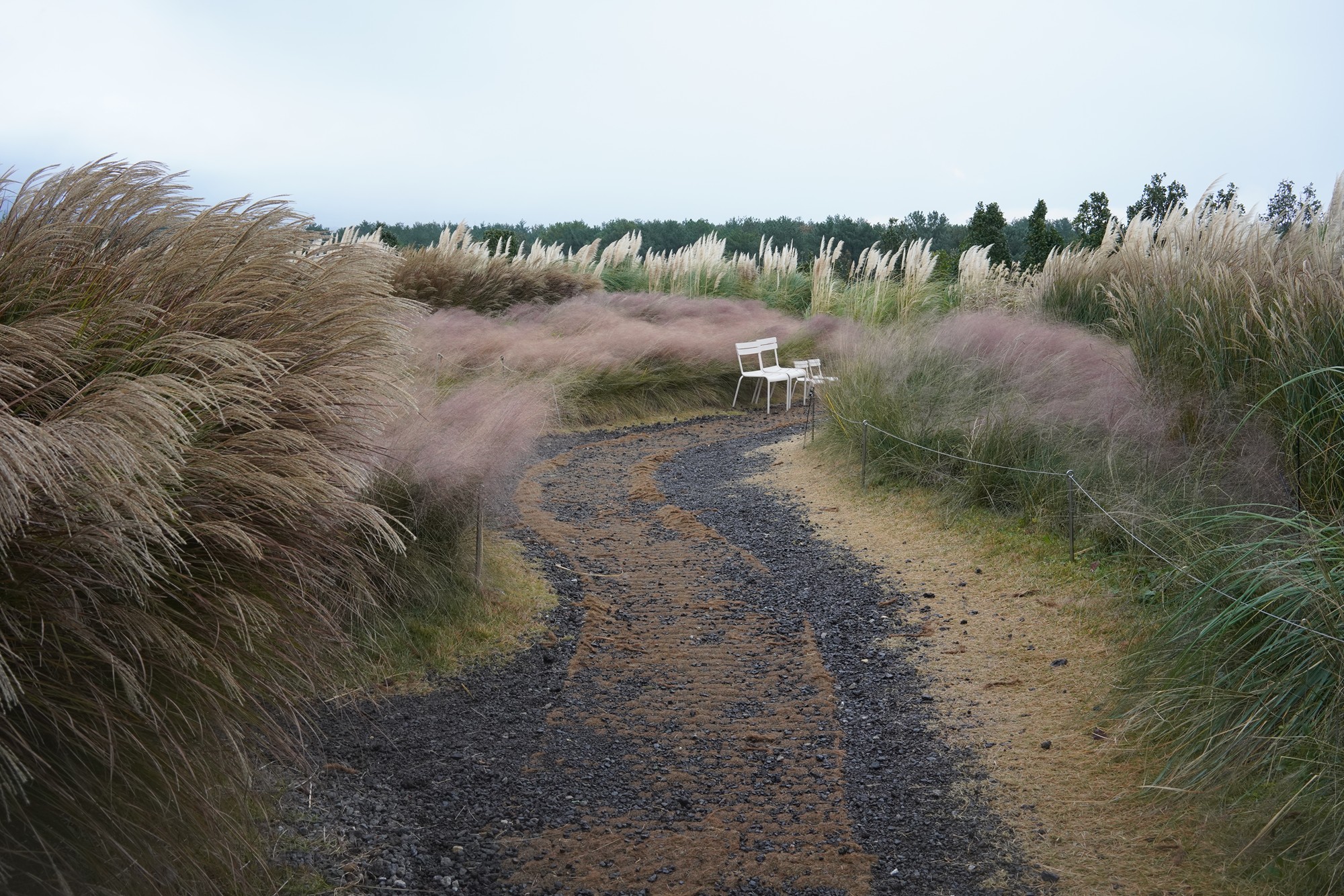 Jeju 15 (84)