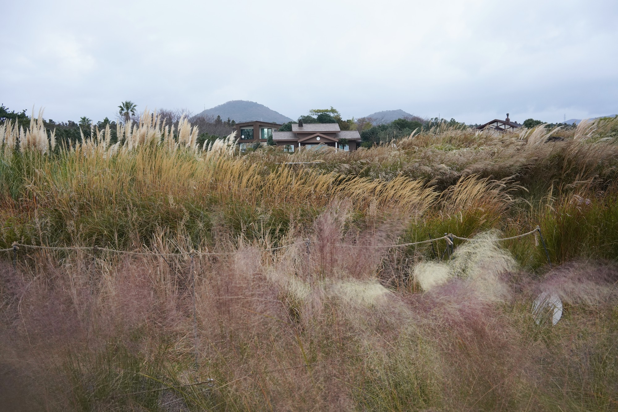 Jeju 15 (85)