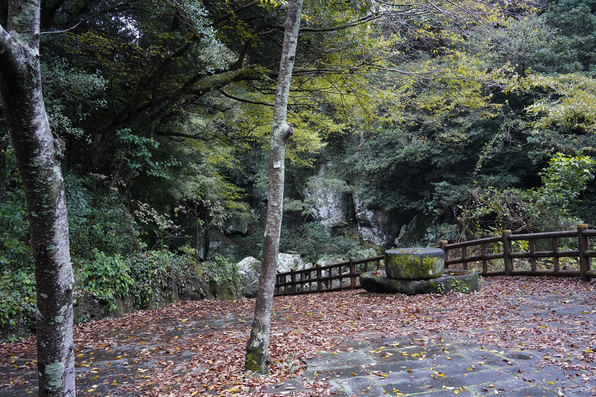 Jeju 15 (9)