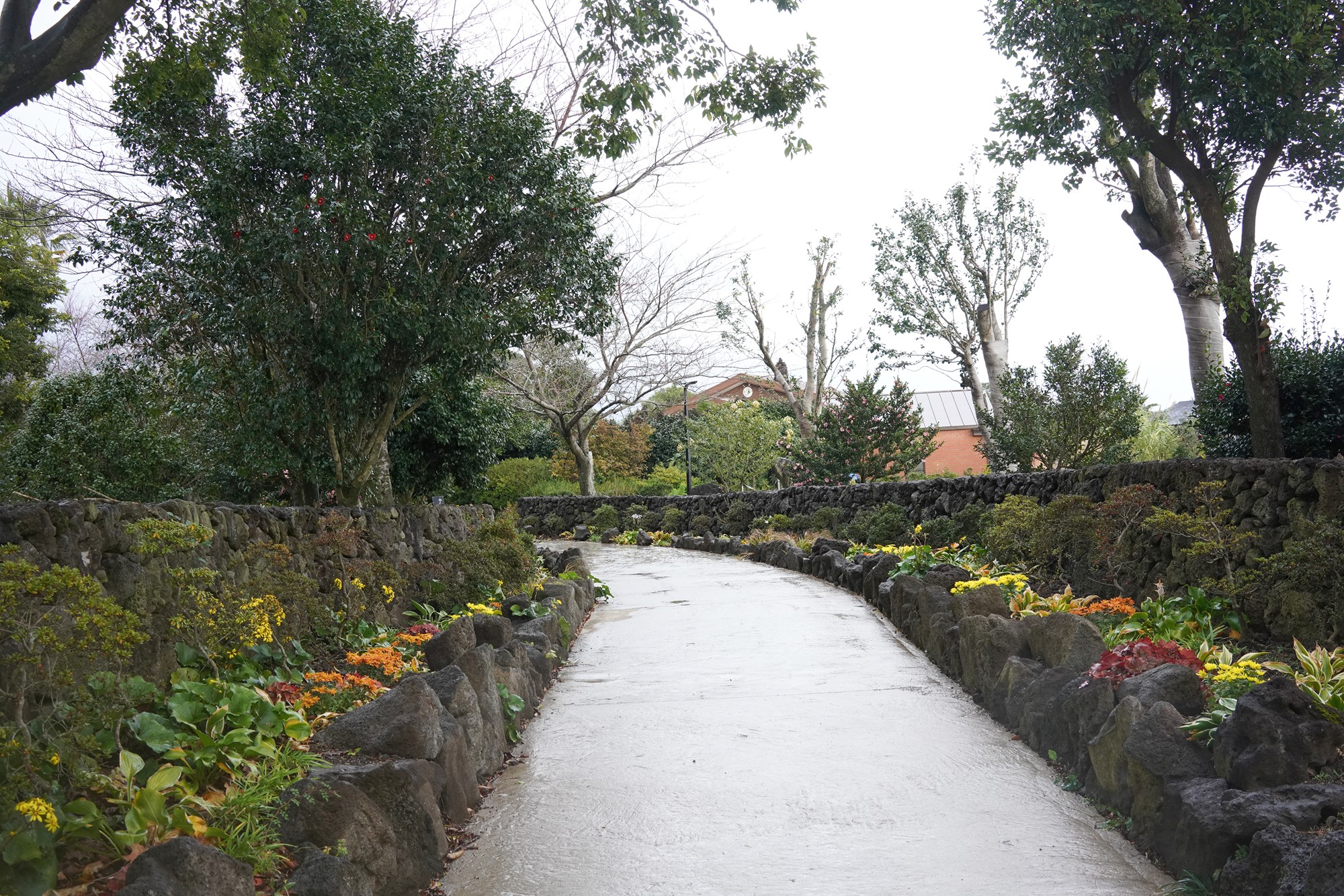 Jeju 15 (92)