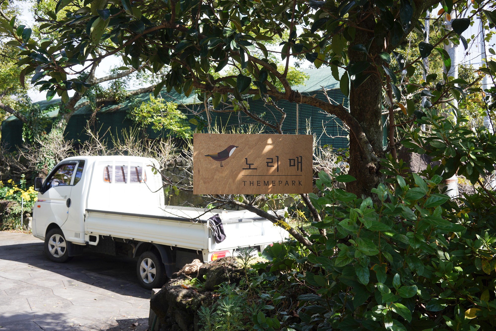 Jeju 16 (1)