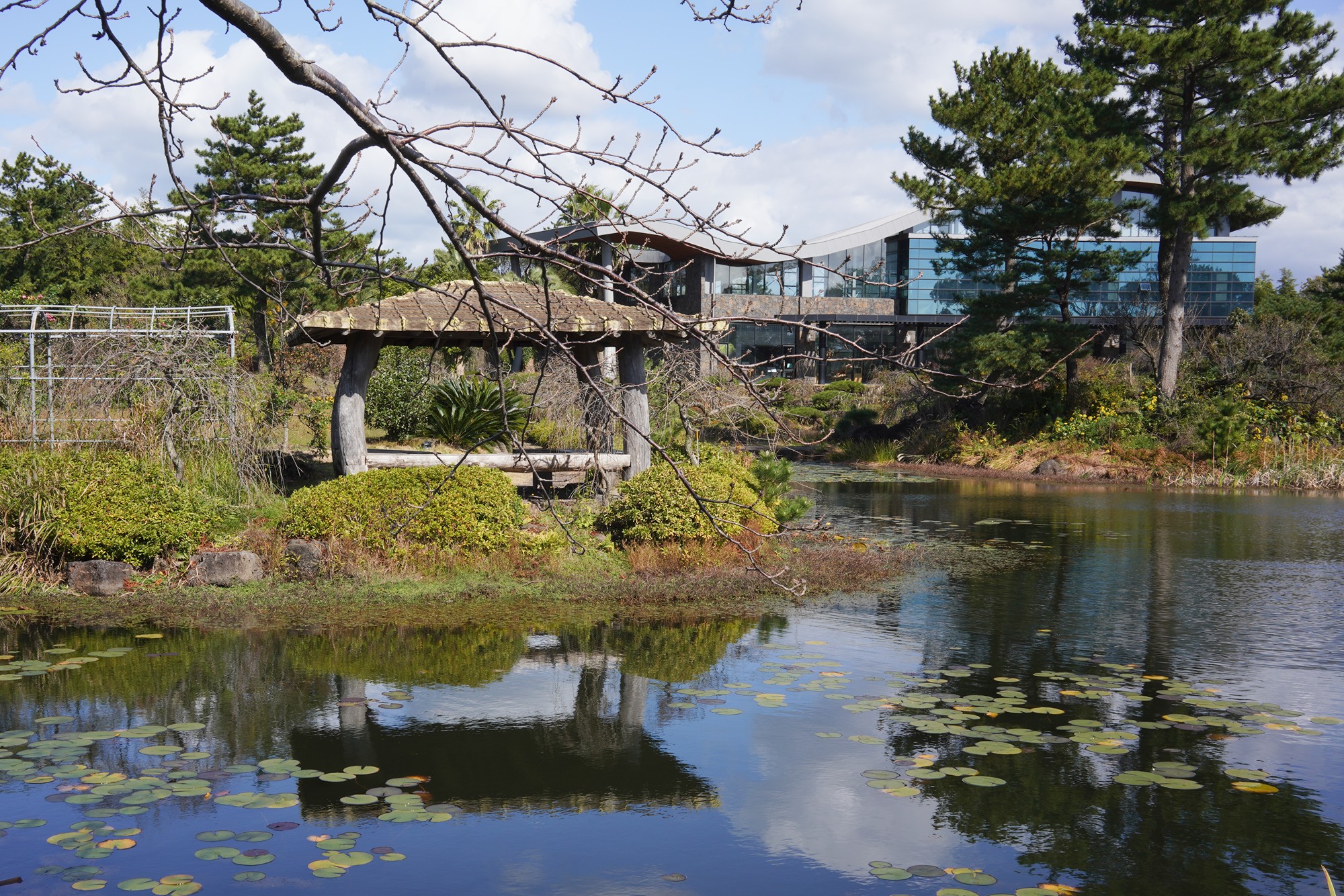 Jeju 16 (10)