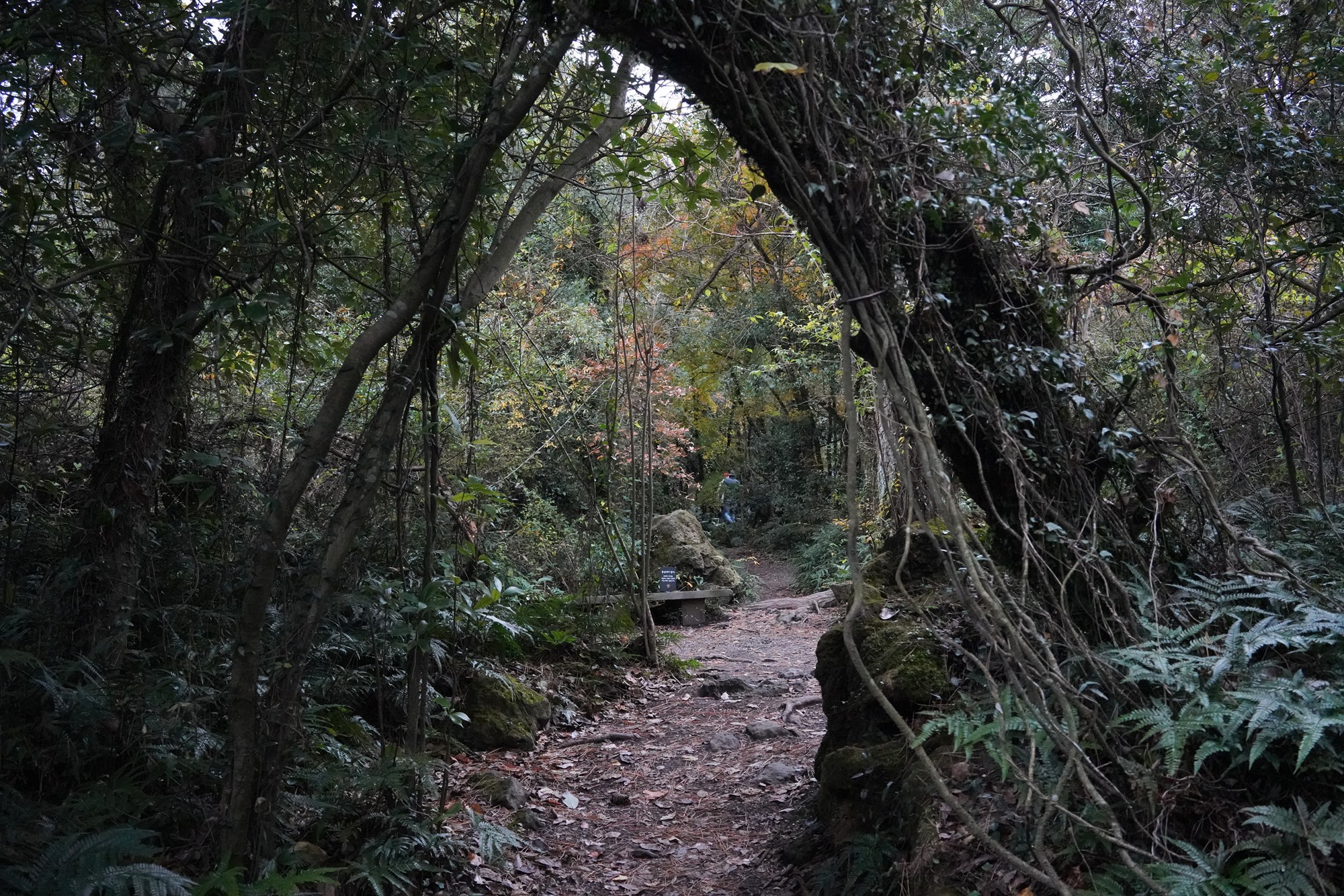 Jeju 16 (101)