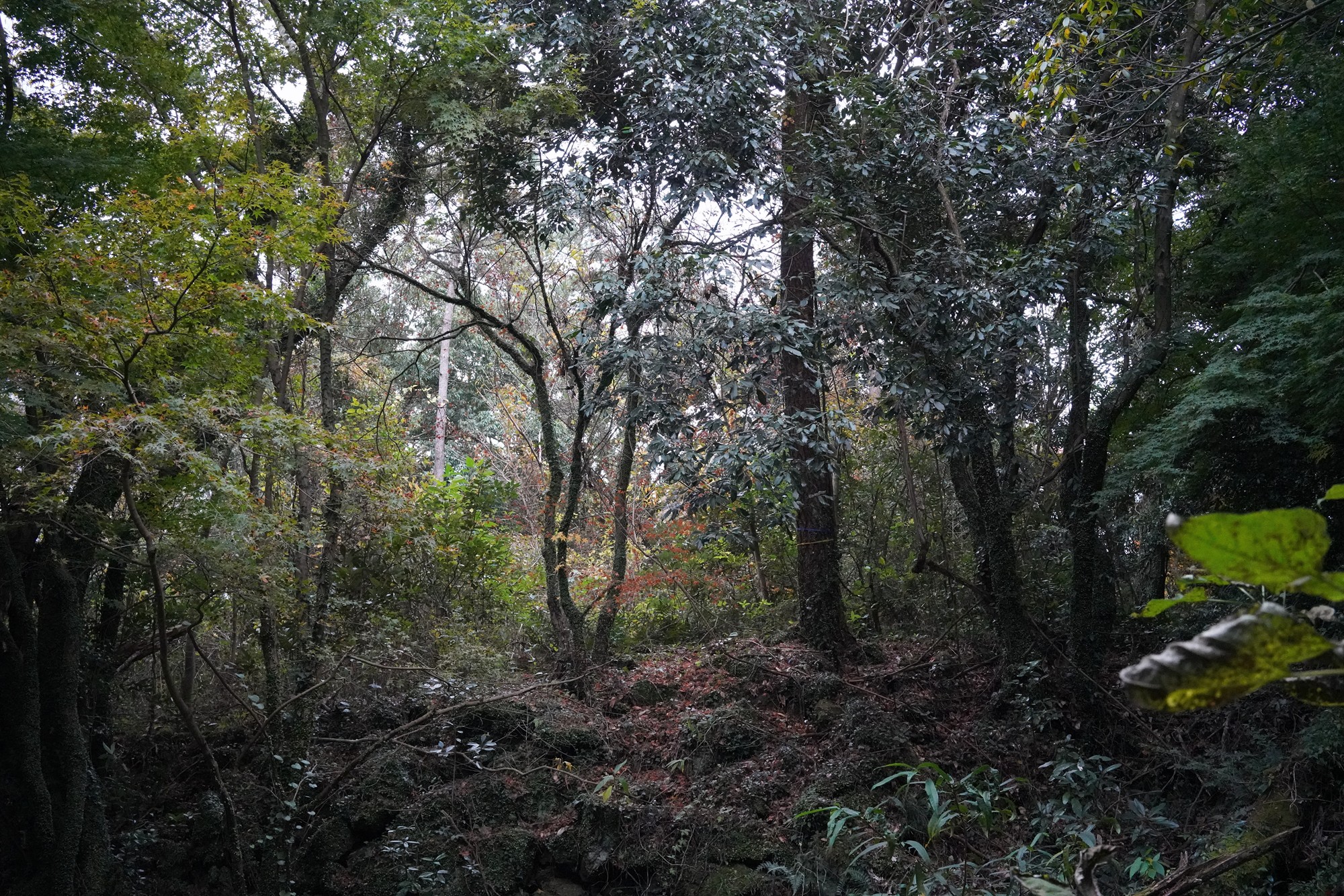 Jeju 16 (107)