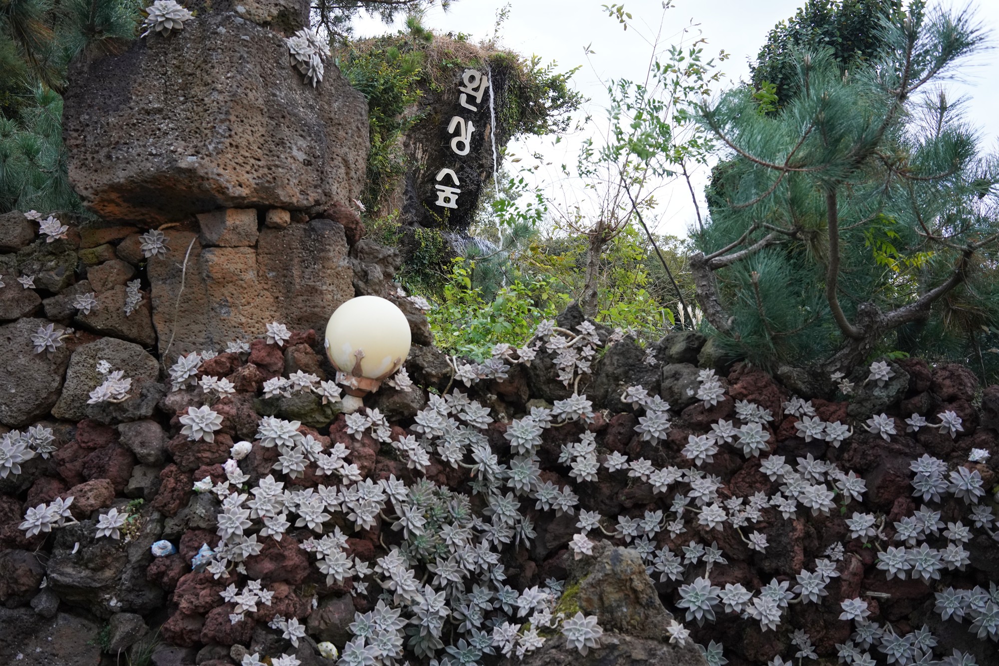 Jeju 16 (109)