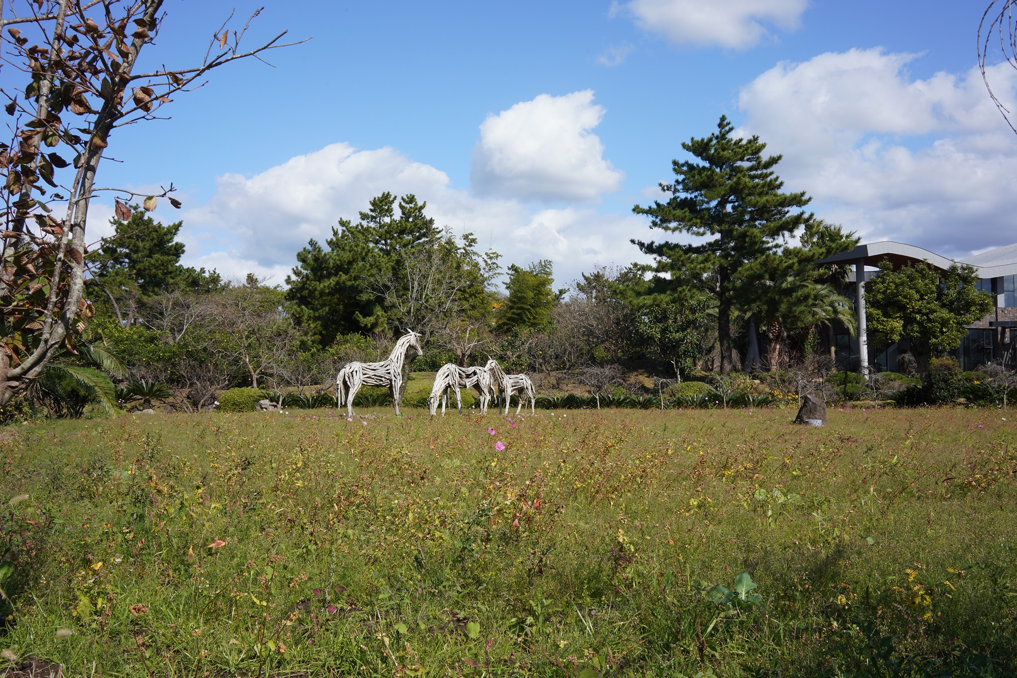 Jeju 16 (11)