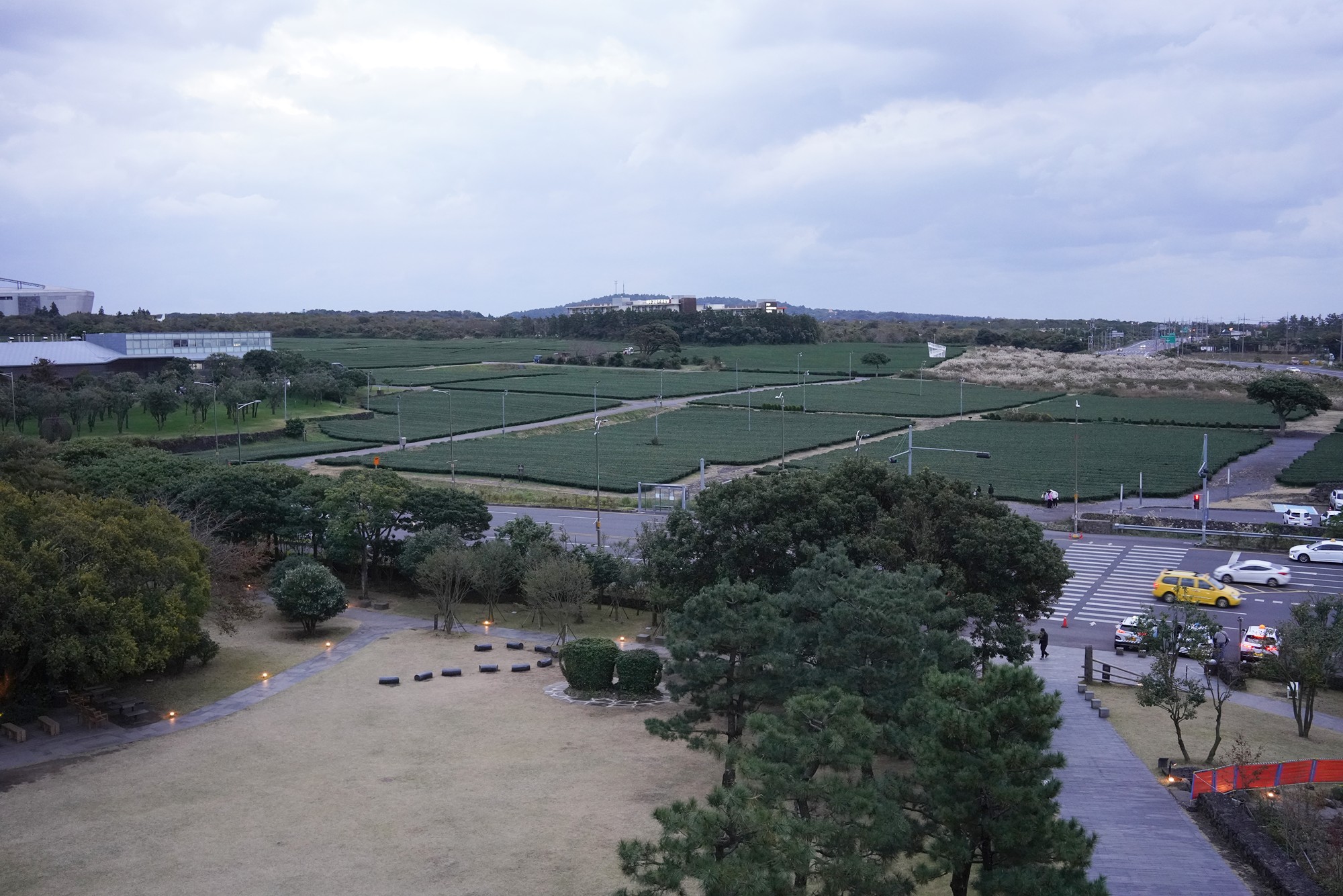 Jeju 16 (111)