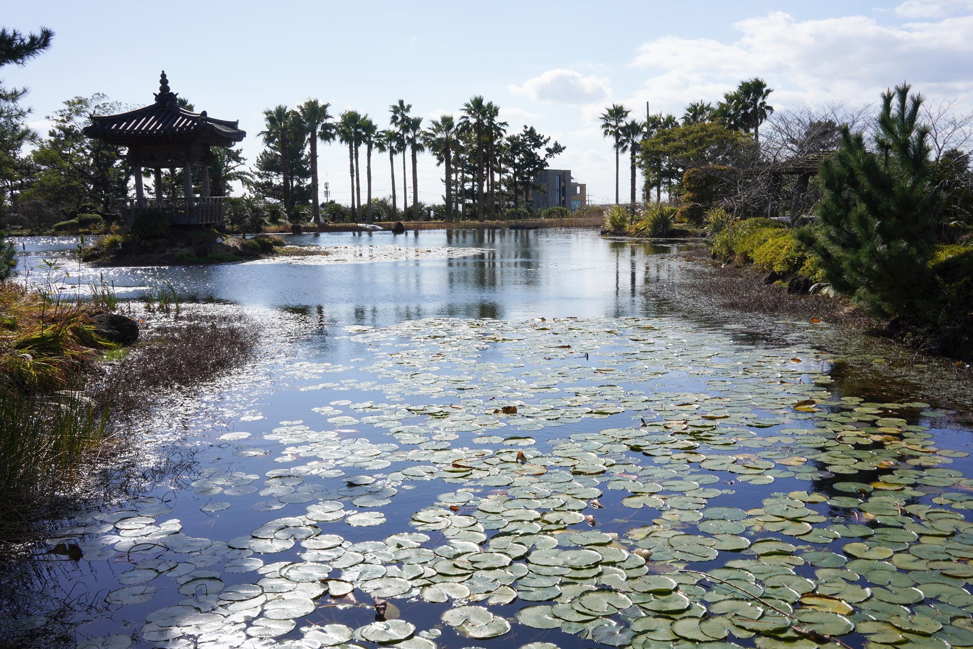 Jeju 16 (13)