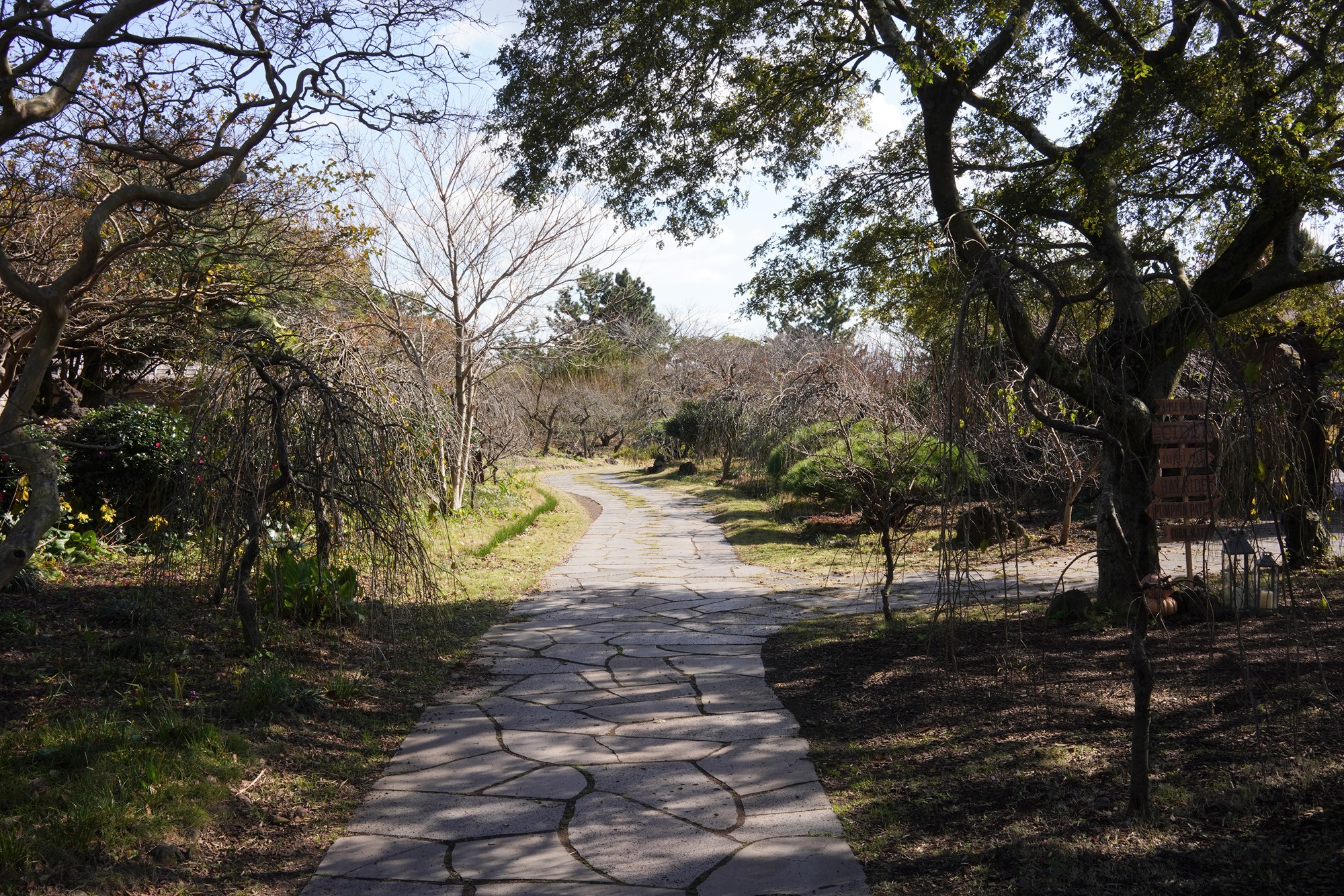 Jeju 16 (23)