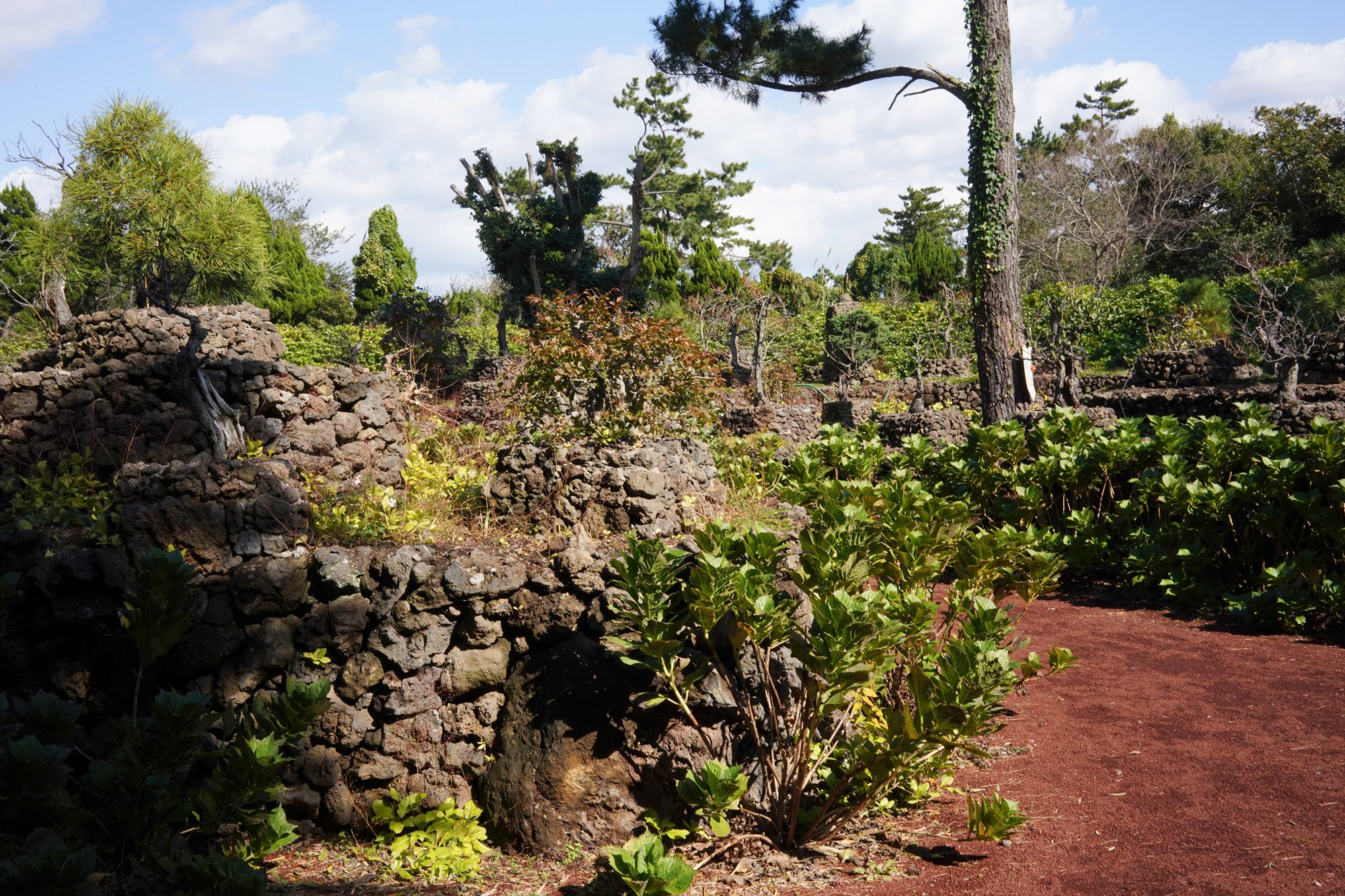 Jeju 16 (24)