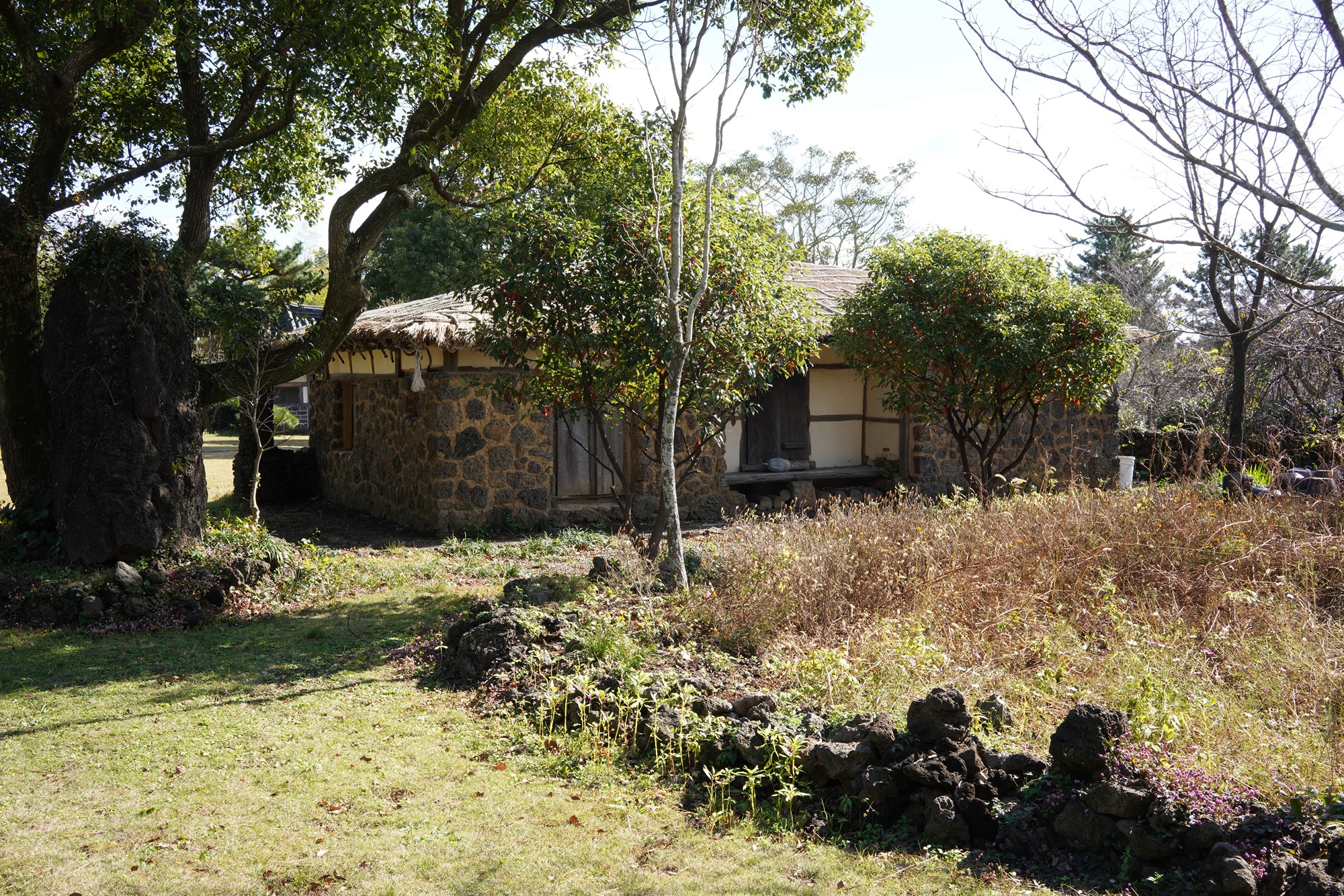 Jeju 16 (25)