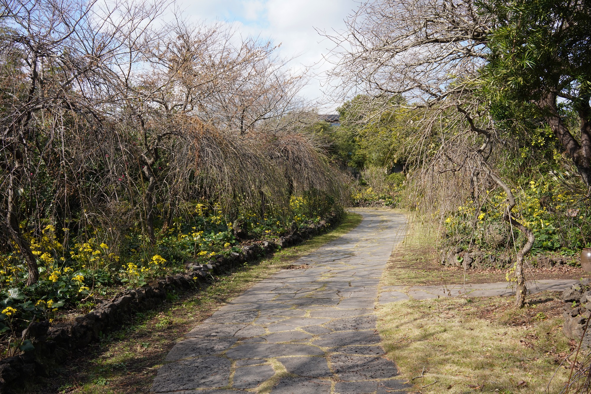 Jeju 16 (29)