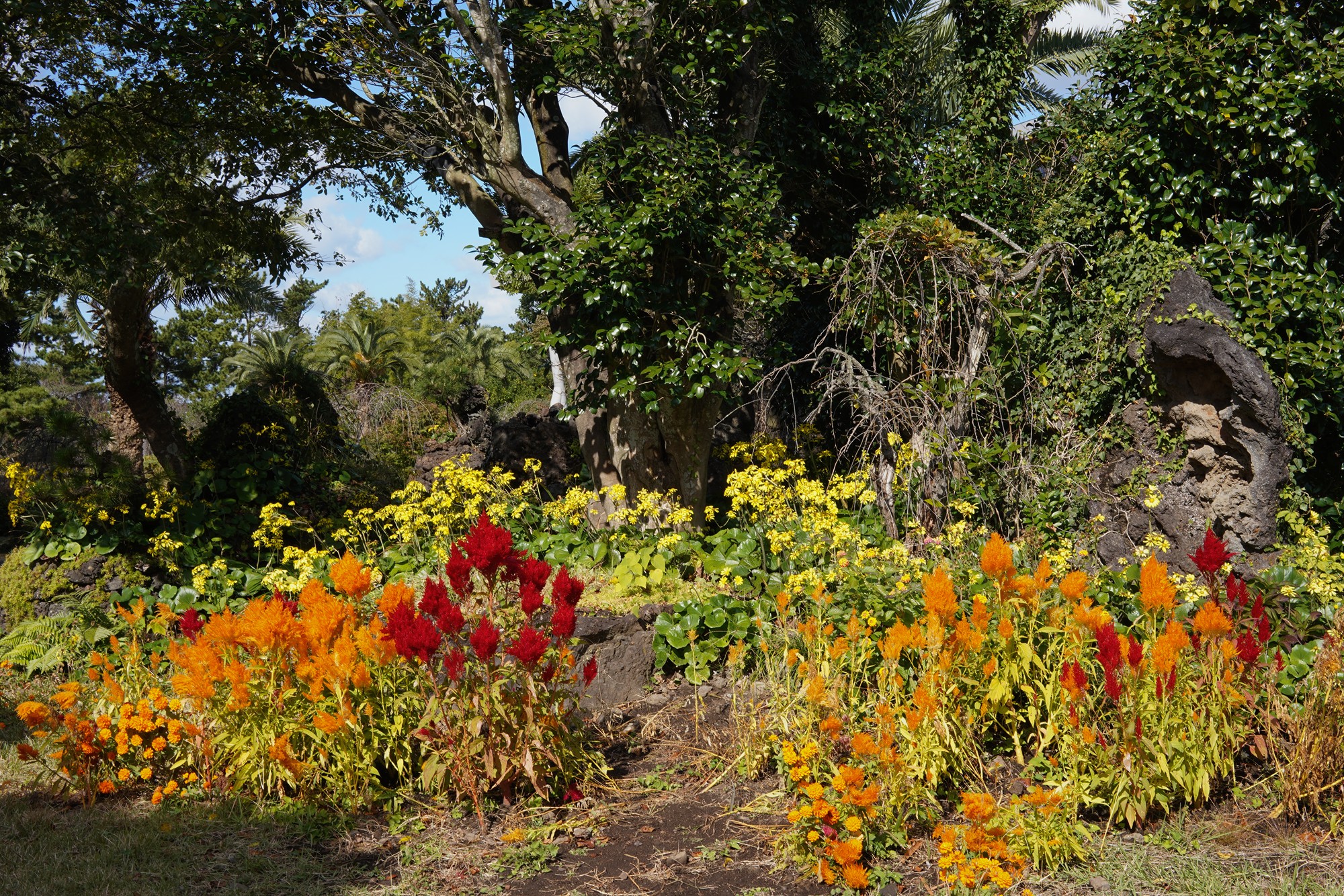 Jeju 16 (3)