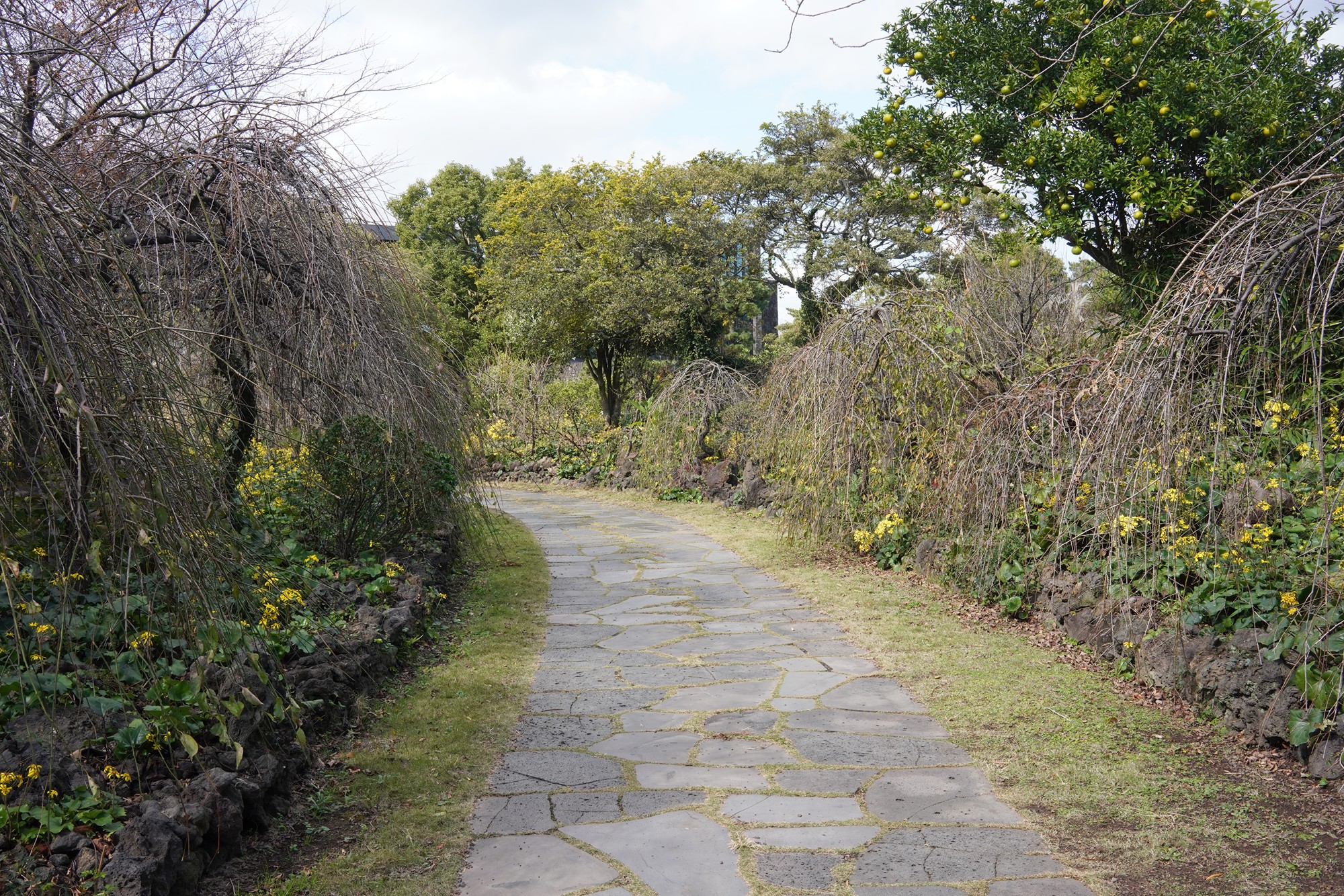 Jeju 16 (30)