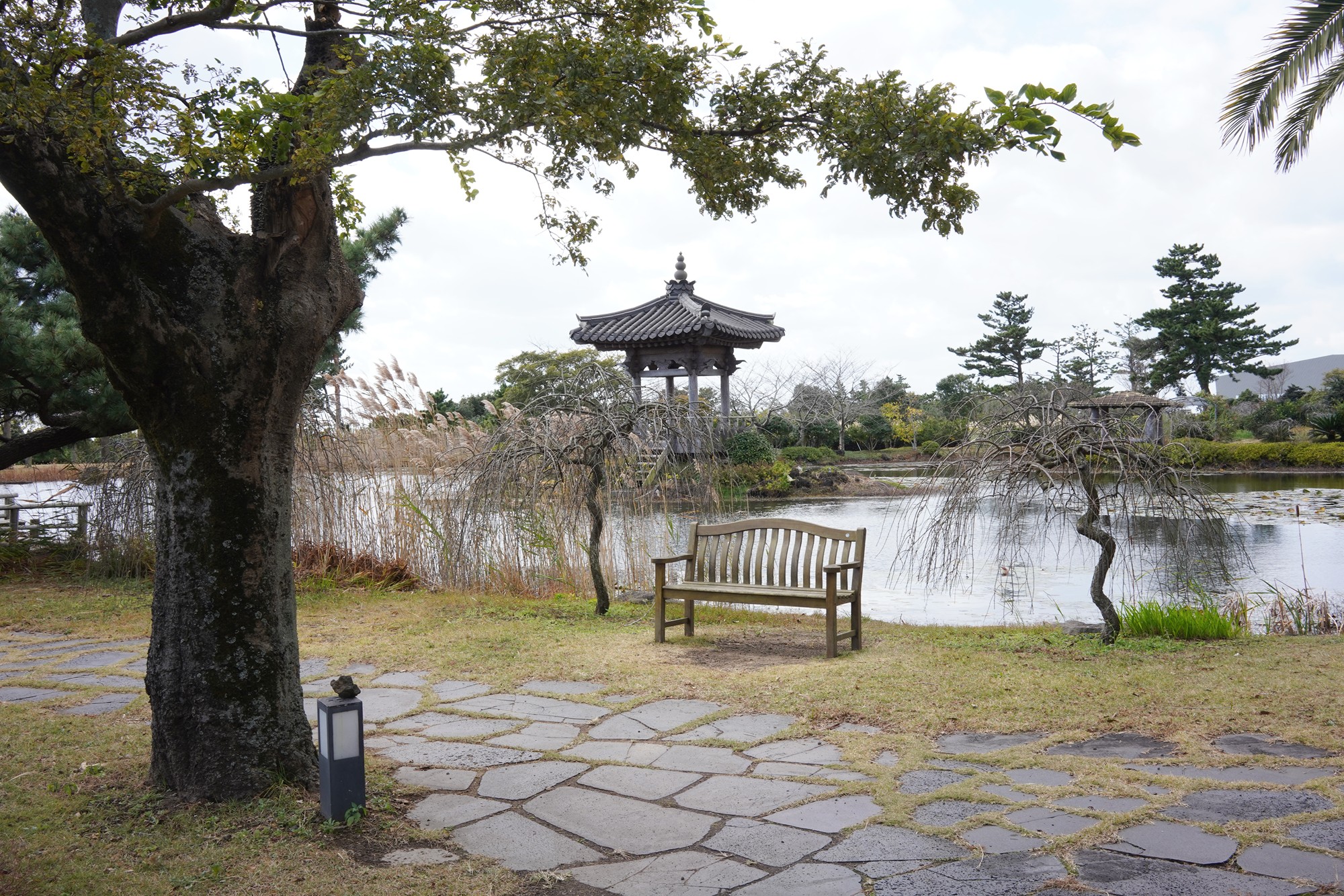 Jeju 16 (31)