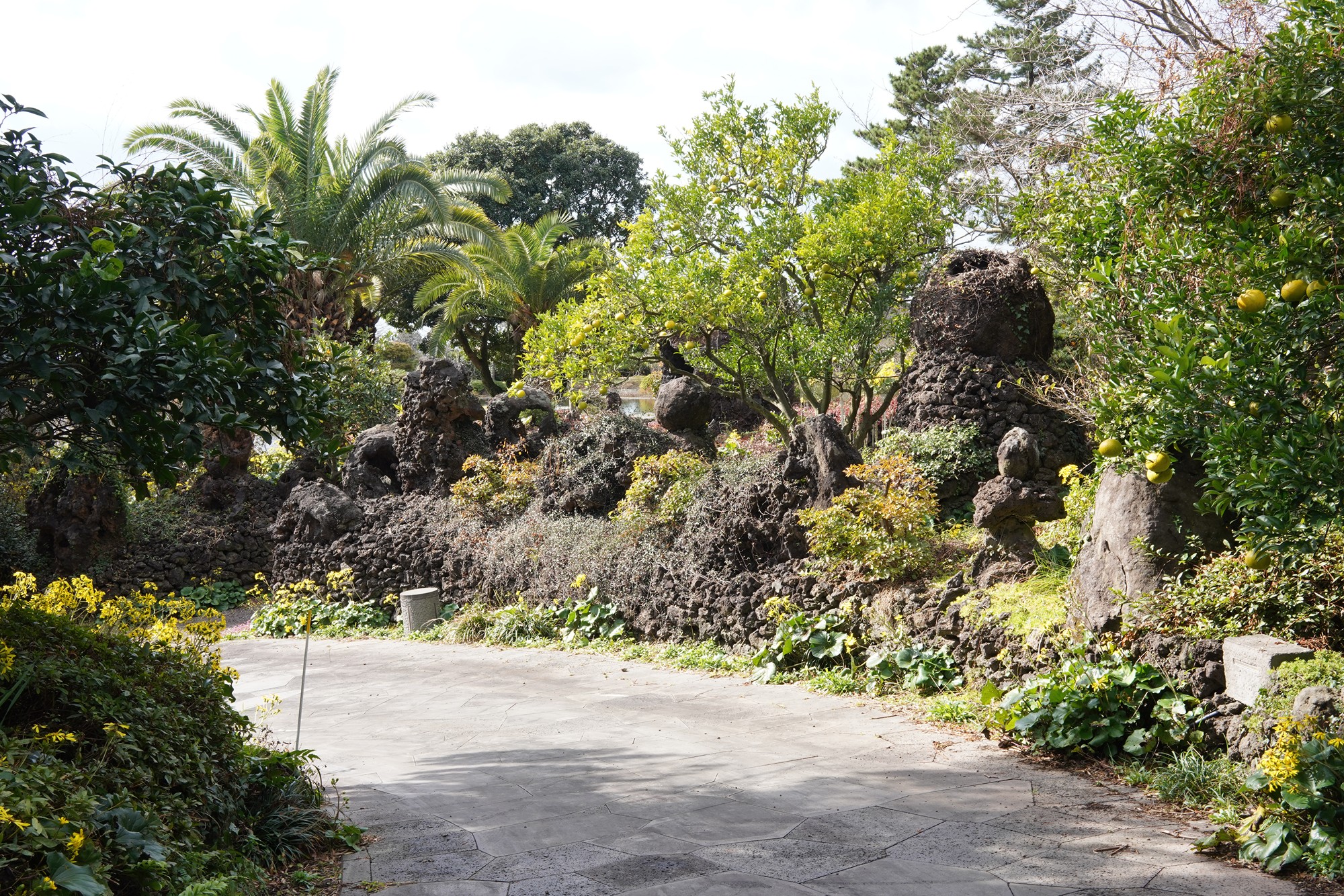 Jeju 16 (32)