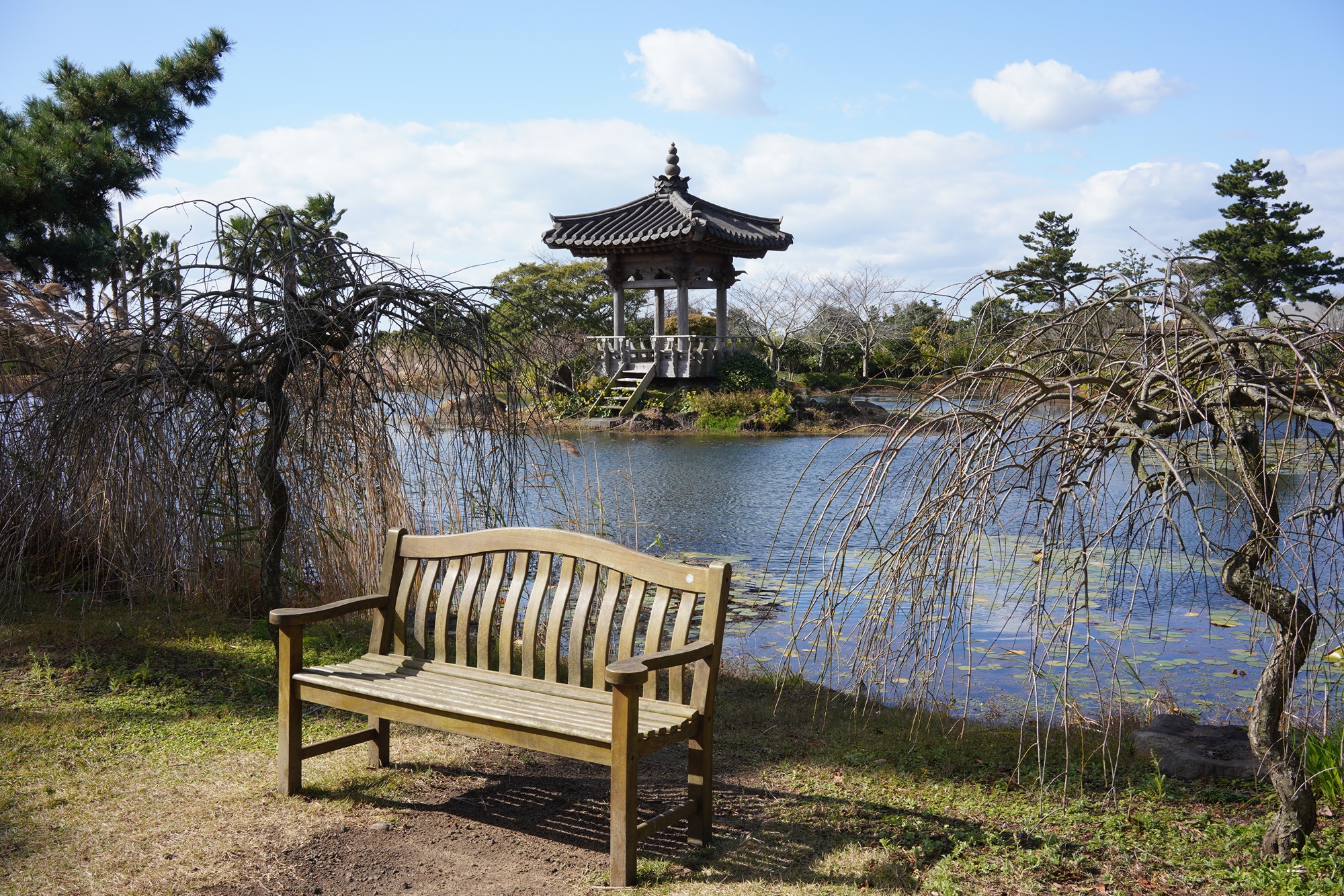 Jeju 16 (4)