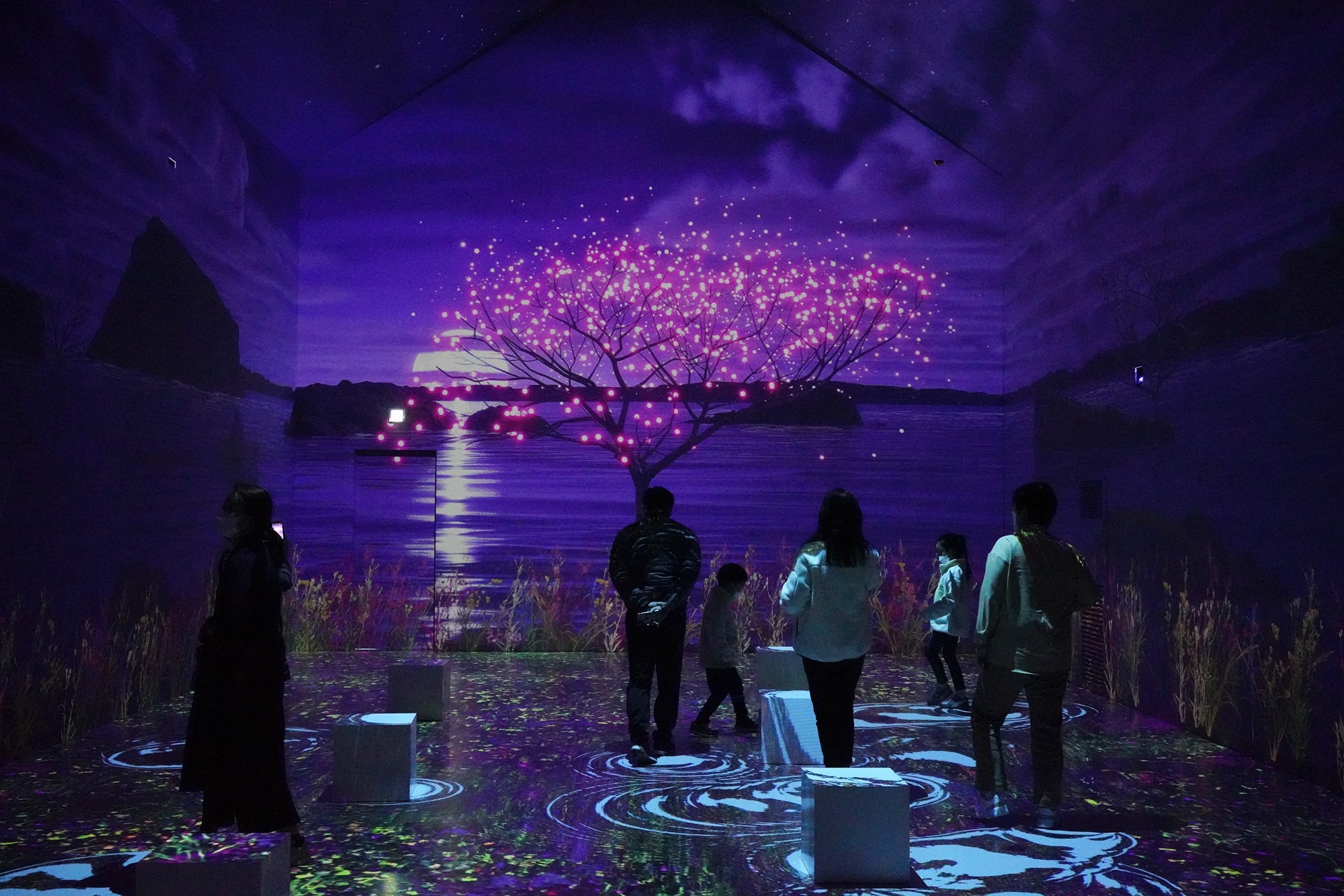 Jeju 16 (44)