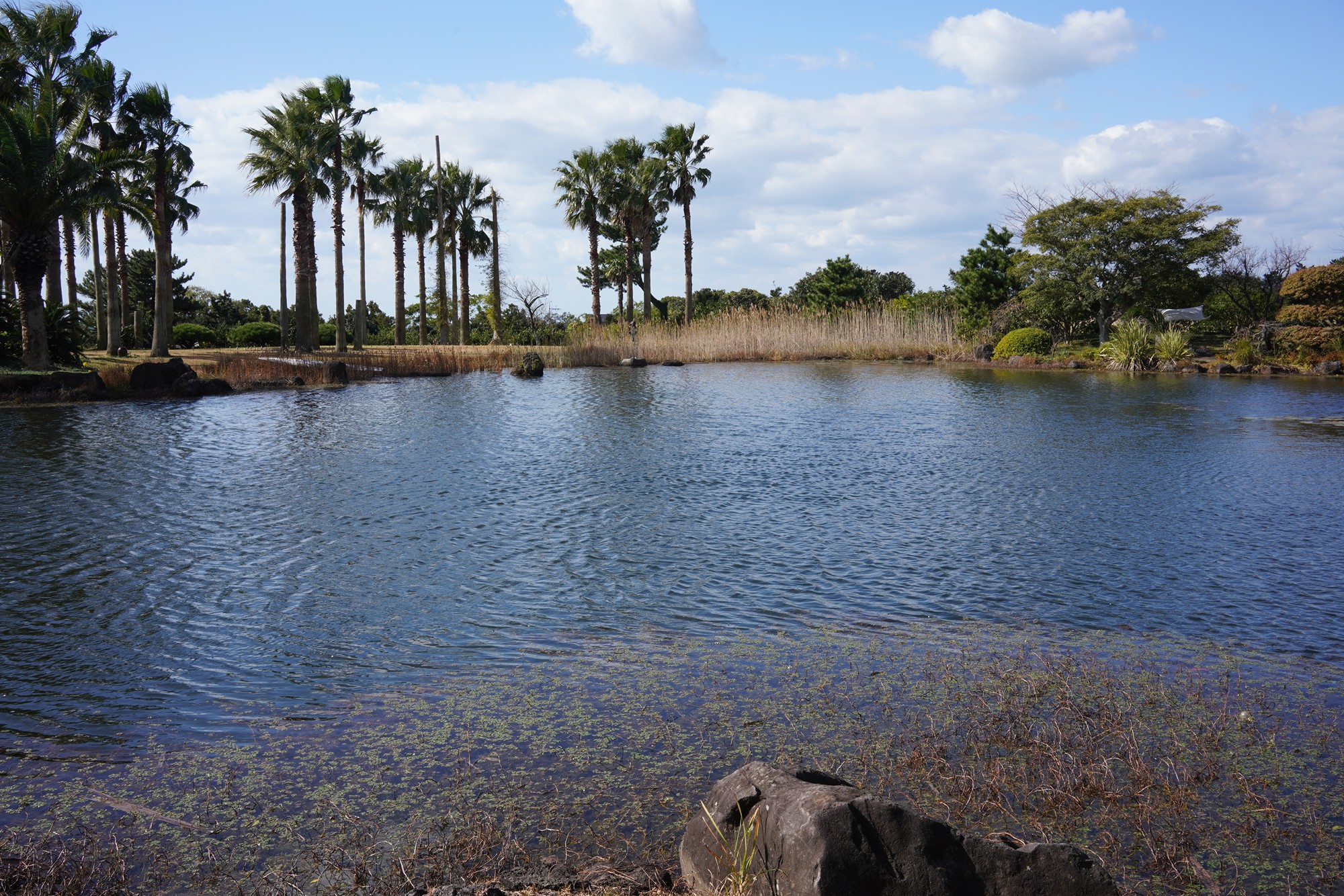 Jeju 16 (5)