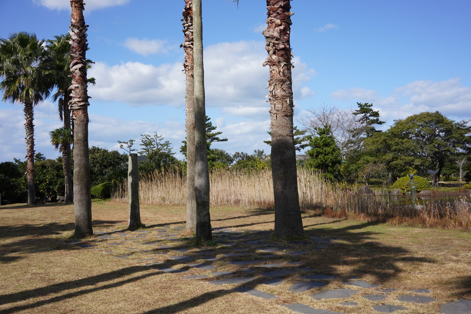 Jeju 16 (6)