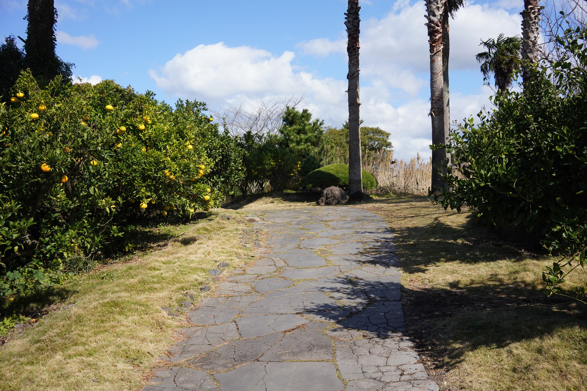 Jeju 16 (8)