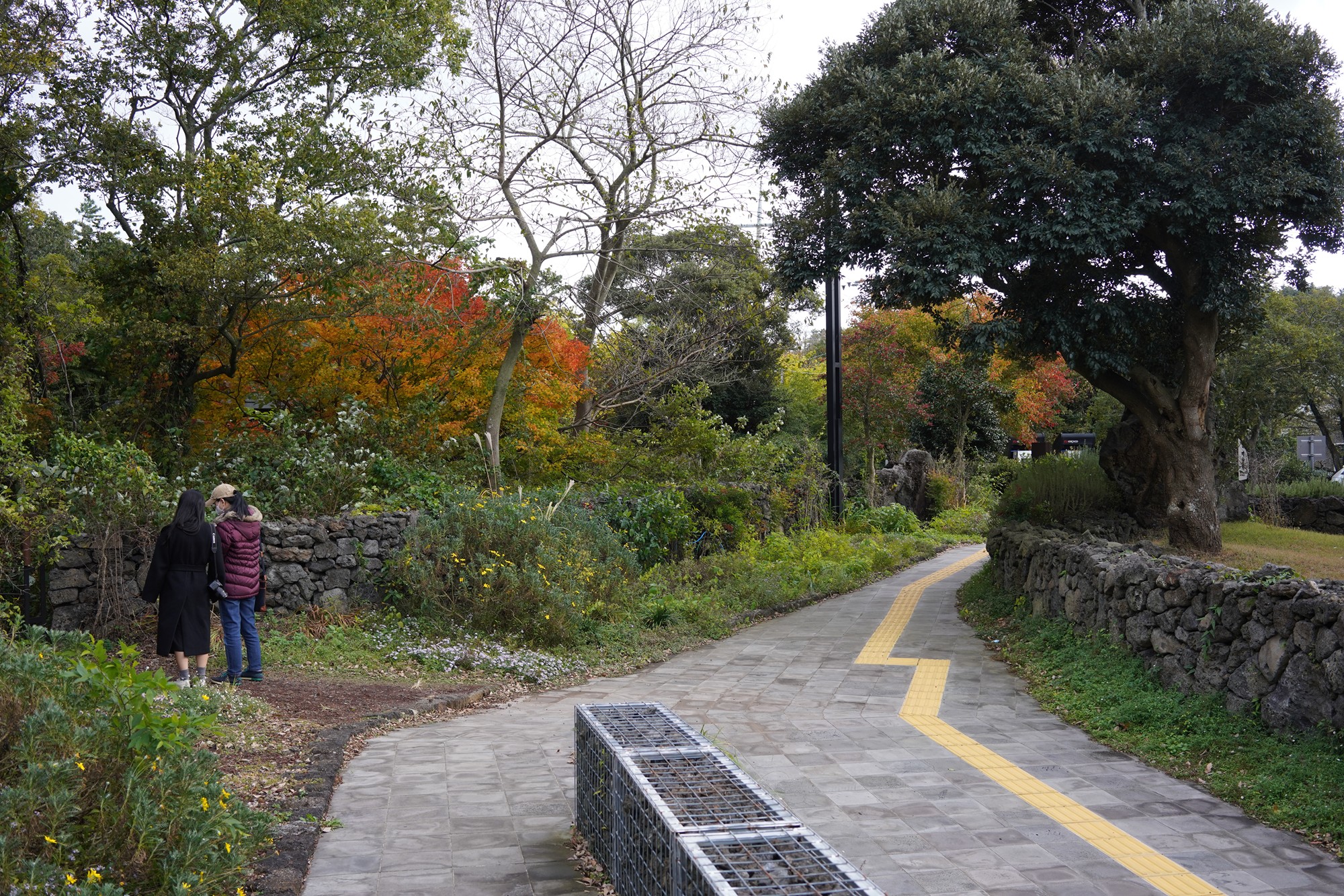 Jeju 16 (90)