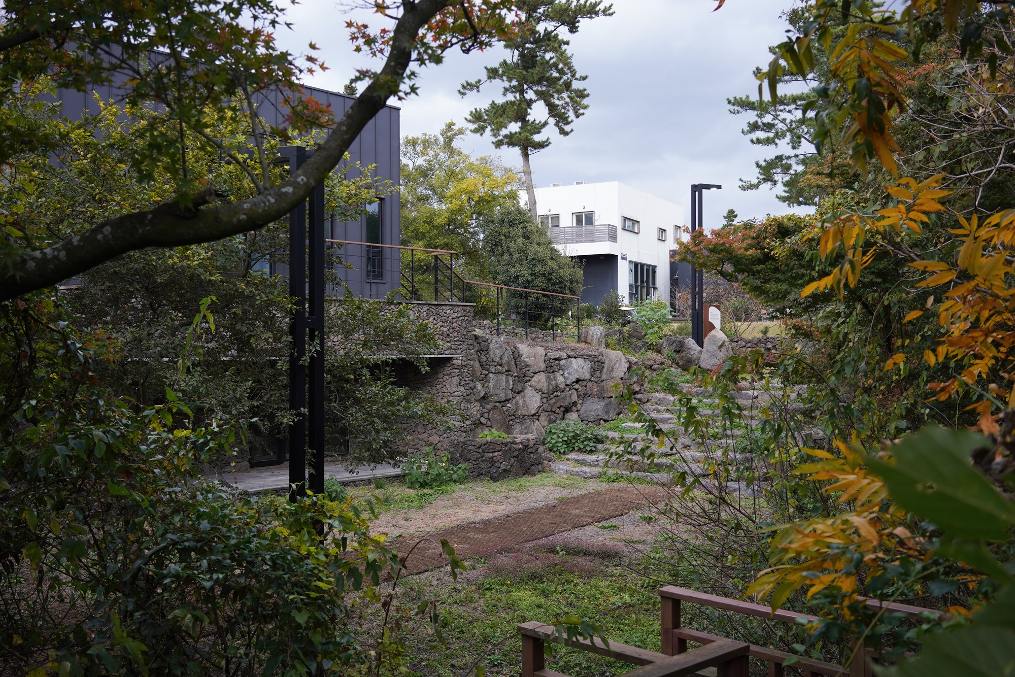Jeju 16 (91)
